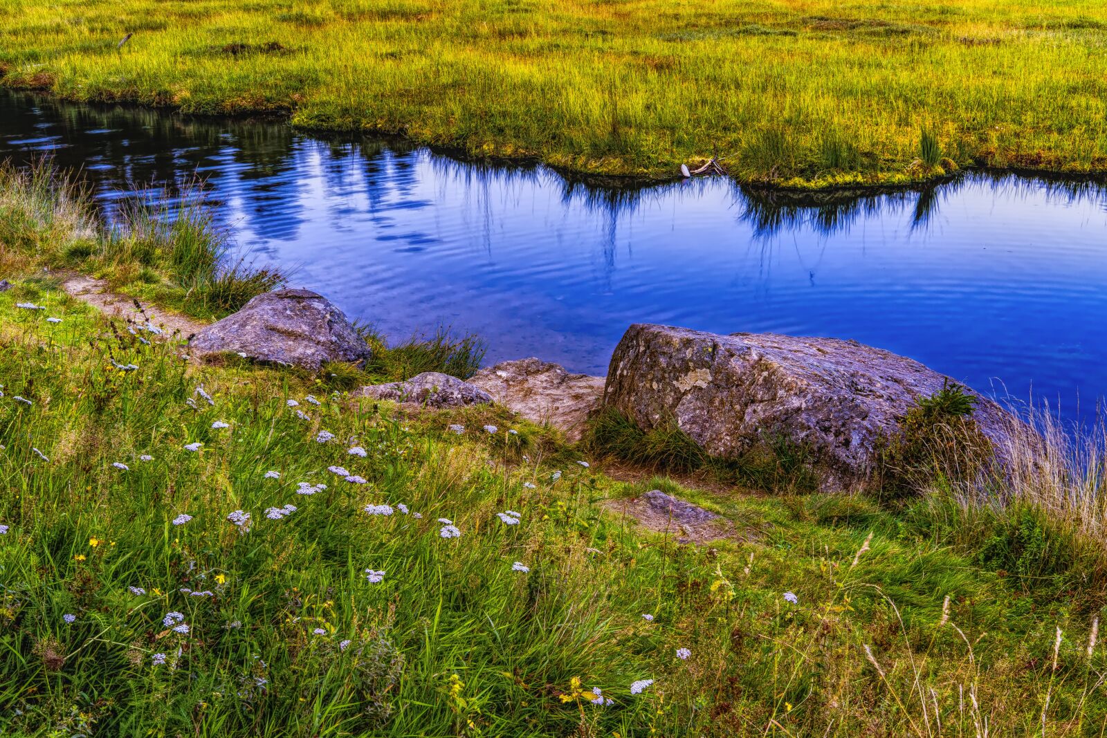 Sony a6300 + Sigma 30mm F2.8 EX DN sample photo. River, lake, pond photography