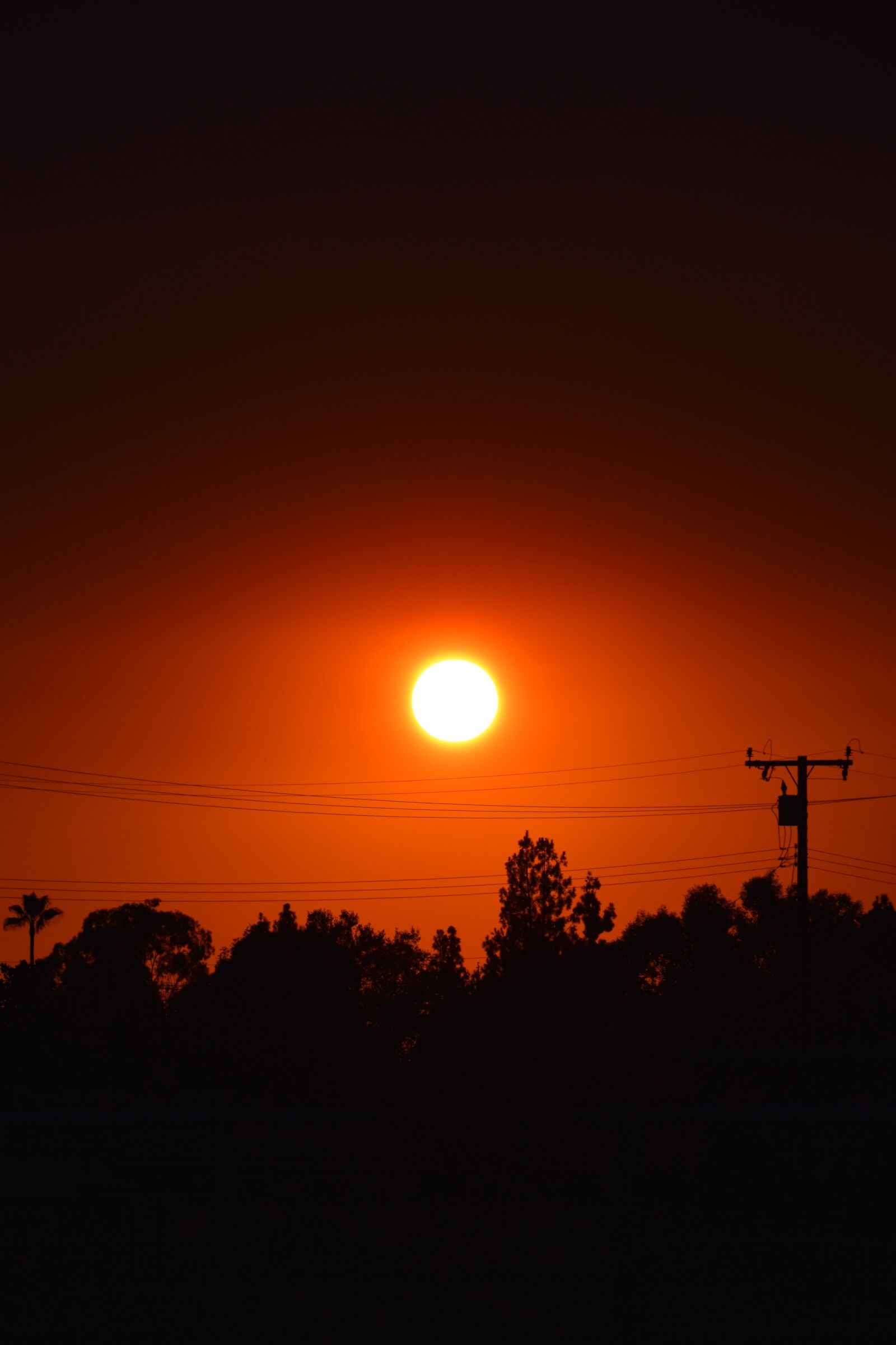 Nikon D3500 sample photo. Sun, trees, silhouette photography