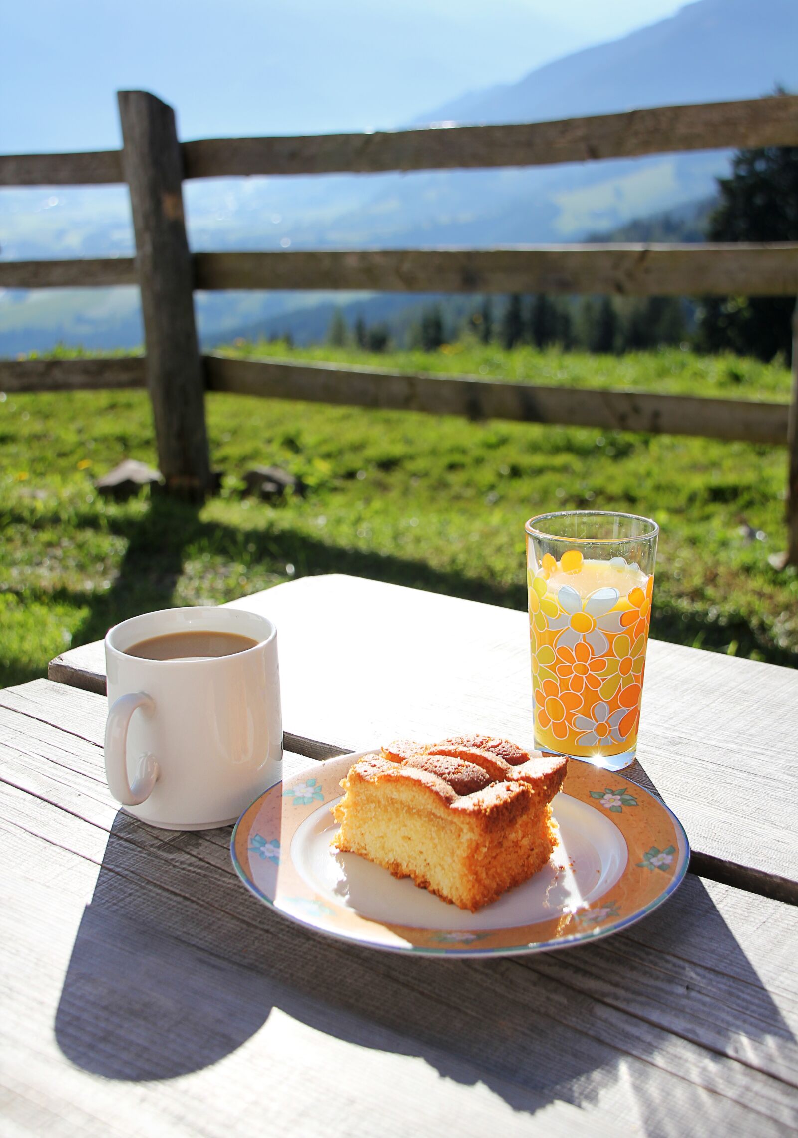 Canon EOS 550D (EOS Rebel T2i / EOS Kiss X4) sample photo. Breakfast, mountains, alpine photography