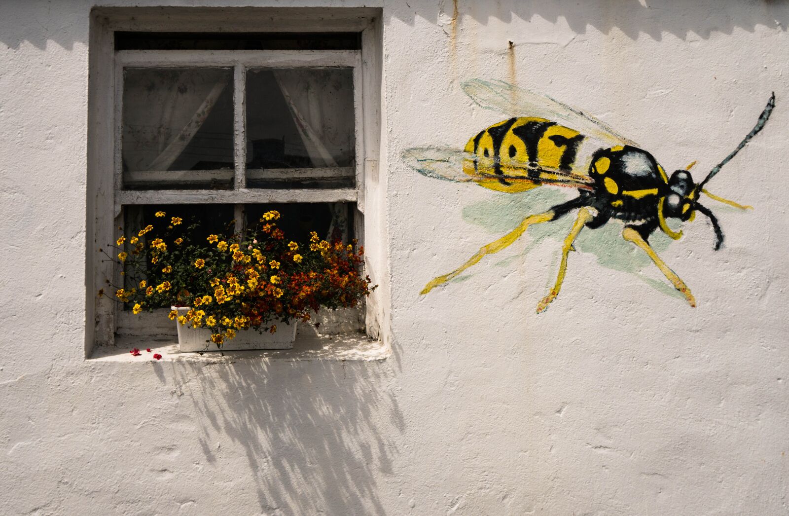 Sony a6500 + Sony Vario-Tessar T* E 16-70mm F4 ZA OSS sample photo. Wasp, window, flowers photography