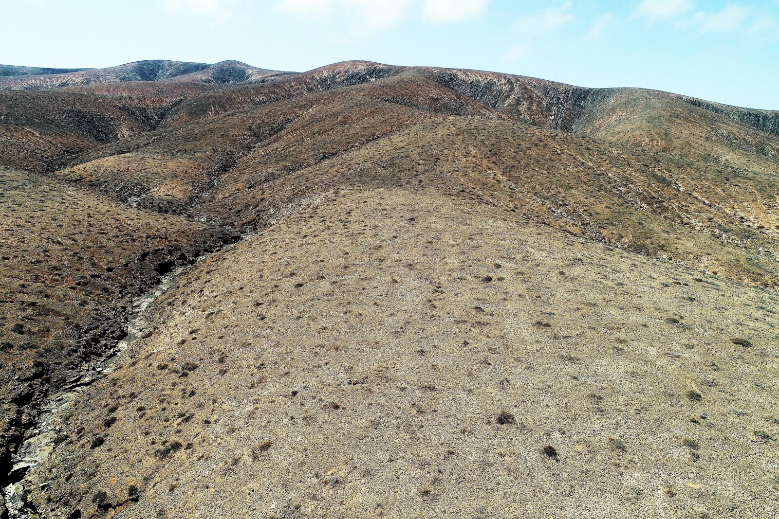 DJI FC6310 sample photo. Nature, vegetation, landscape photography