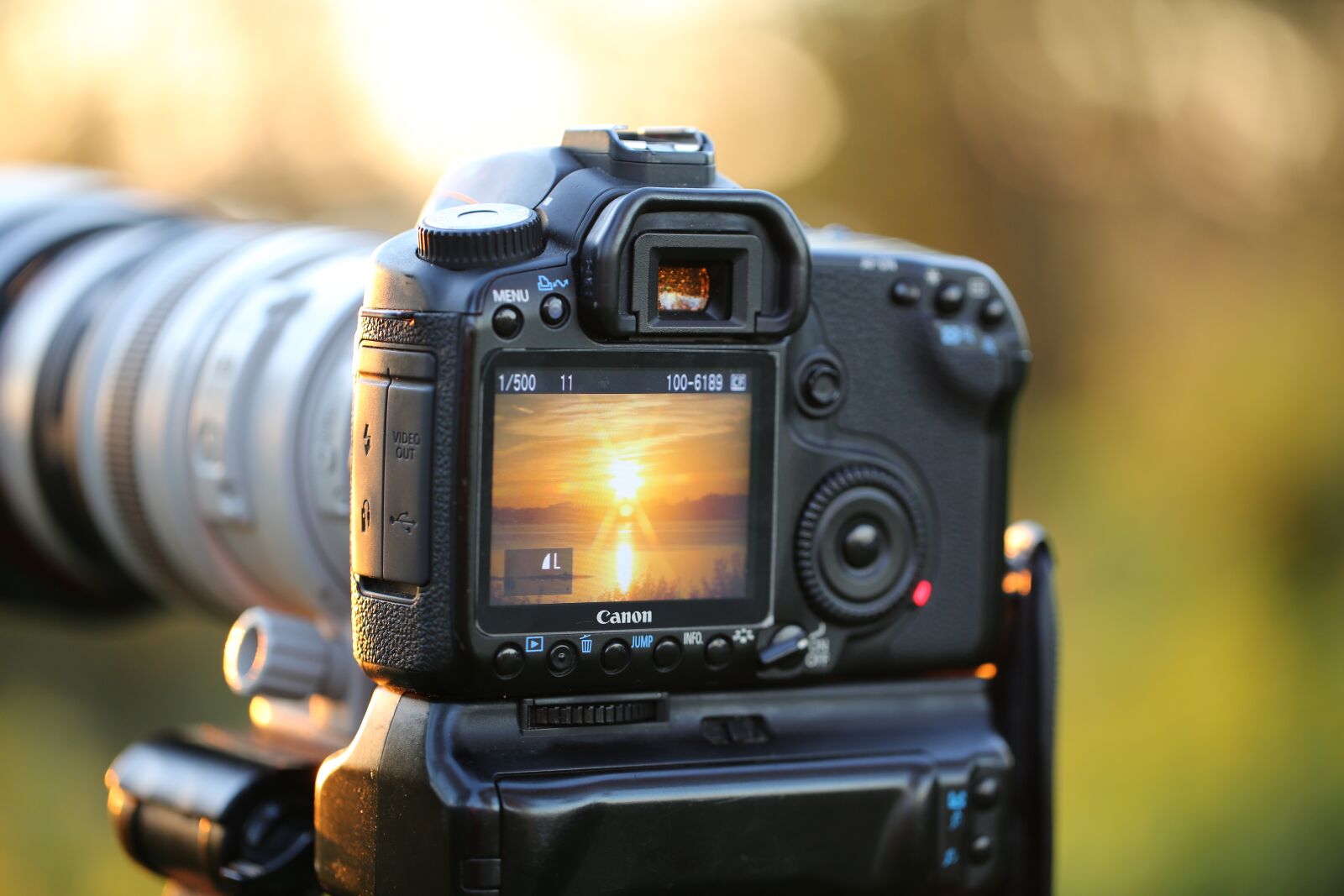 Canon EF 100mm F2.8L Macro IS USM sample photo. Camera, evening, light photography