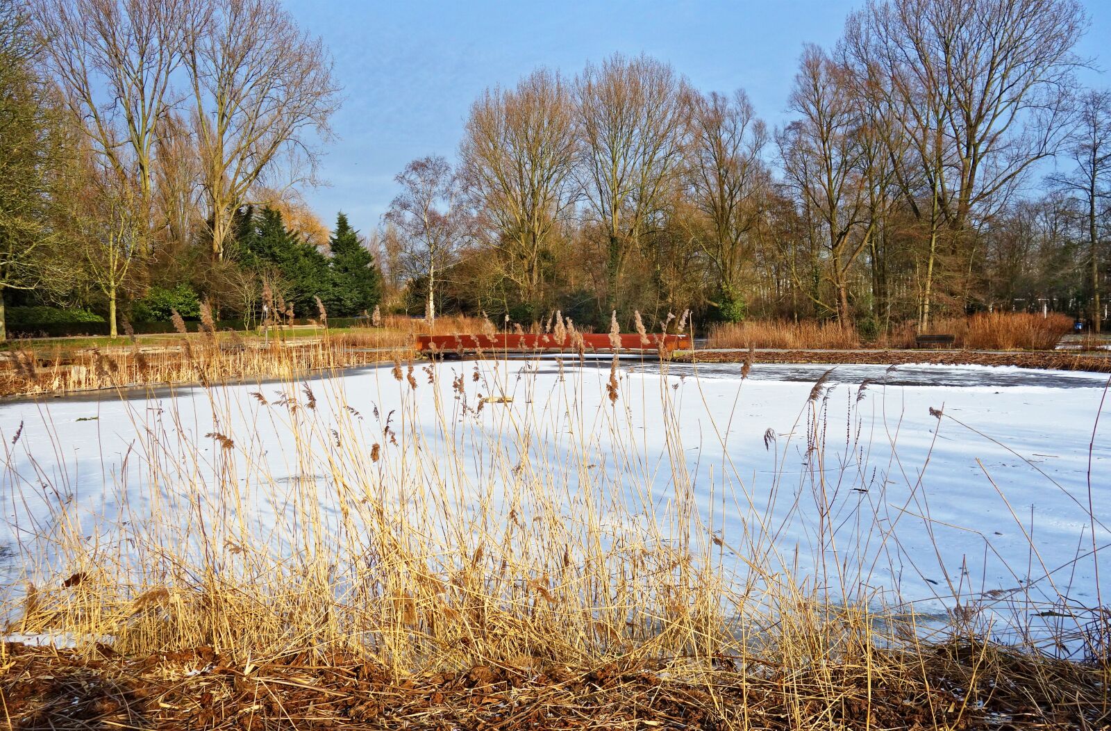 Sony Cyber-shot DSC-RX100 sample photo. Ice, frozen, pond photography