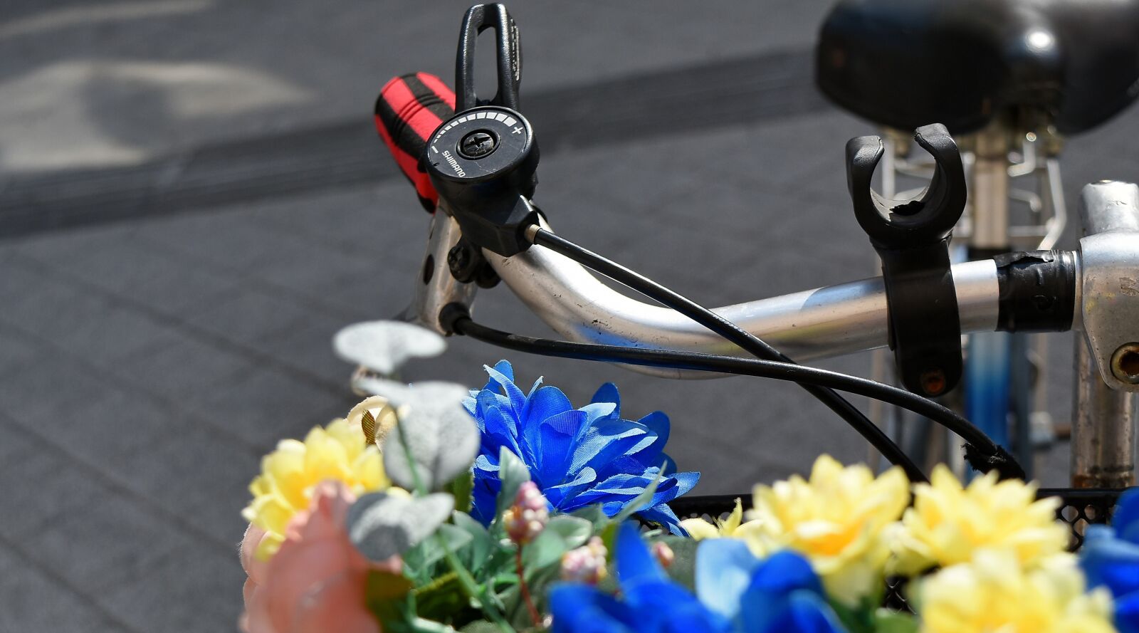 Nikon D5500 sample photo. Decoration, steering wheel, device photography