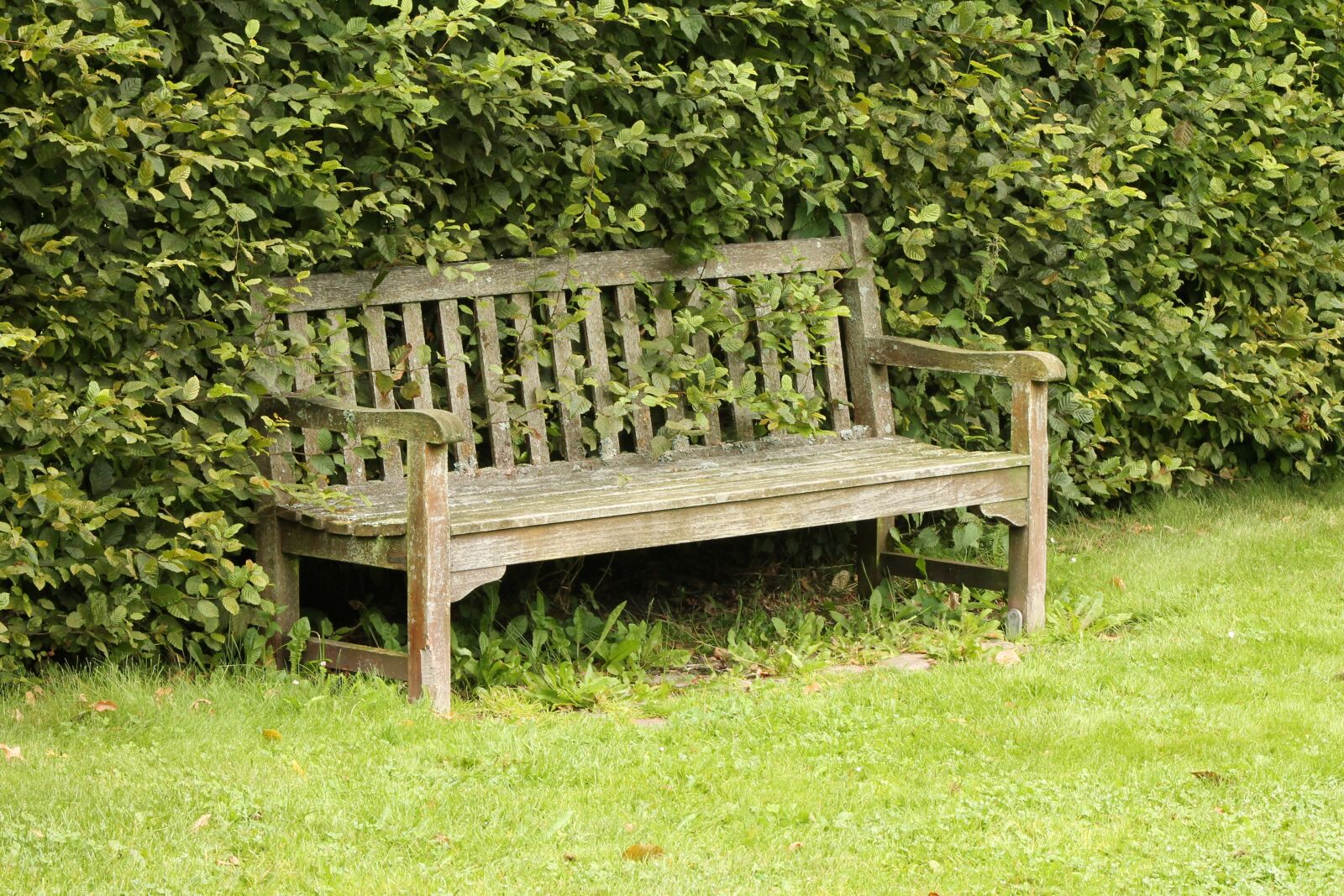 Canon EF 75-300mm f/4-5.6 sample photo. Bench, nature, outdoor photography