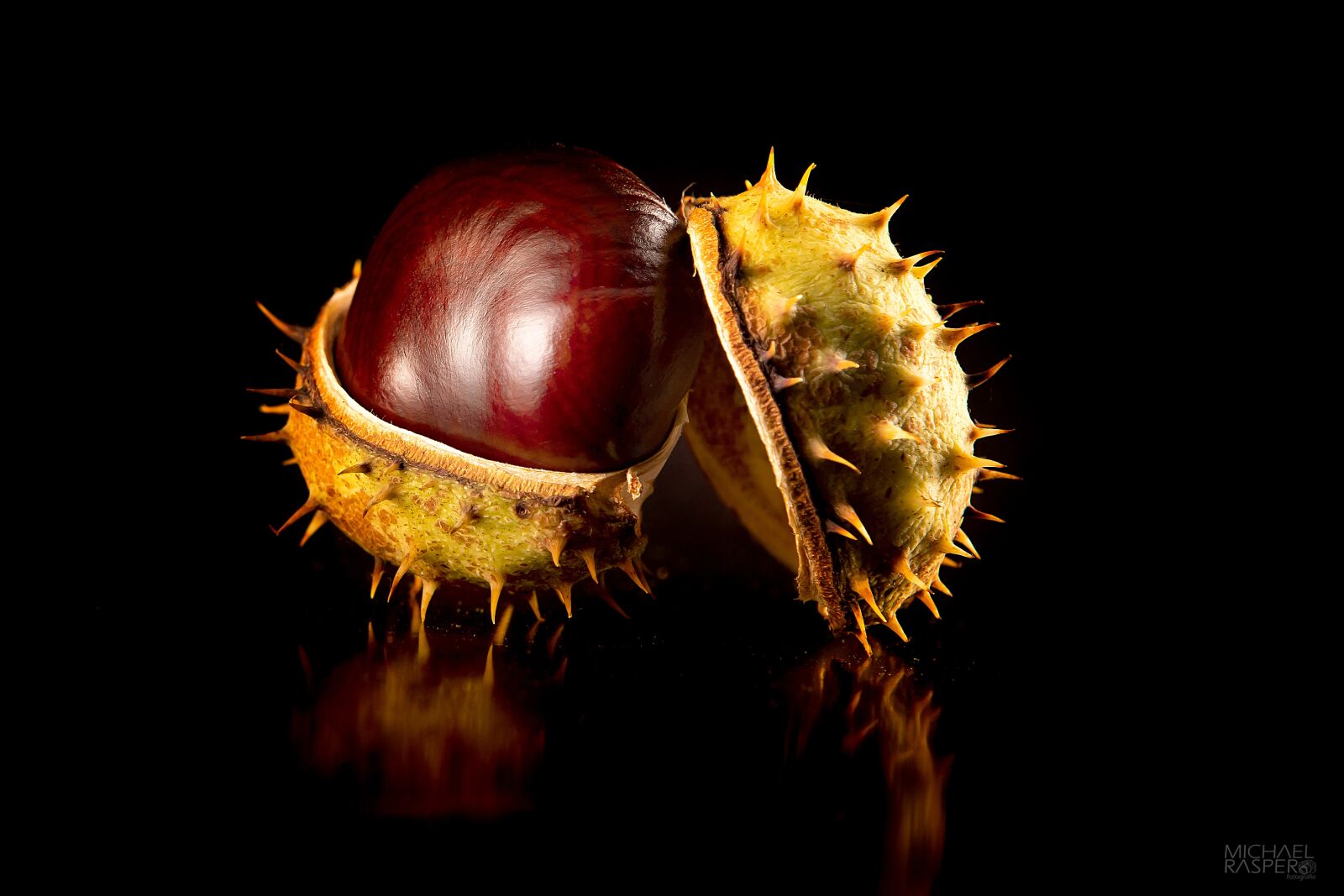 Canon EOS 5D Mark IV sample photo. Chestnut, autumn, nature photography