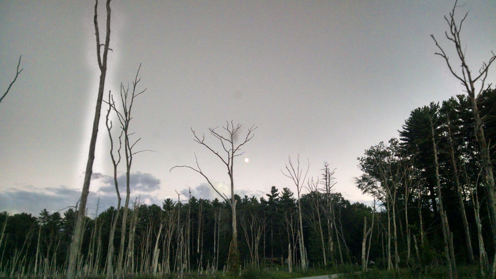 Motorola Moto X (1st Gen) sample photo. Dead, moon, summer, trees photography