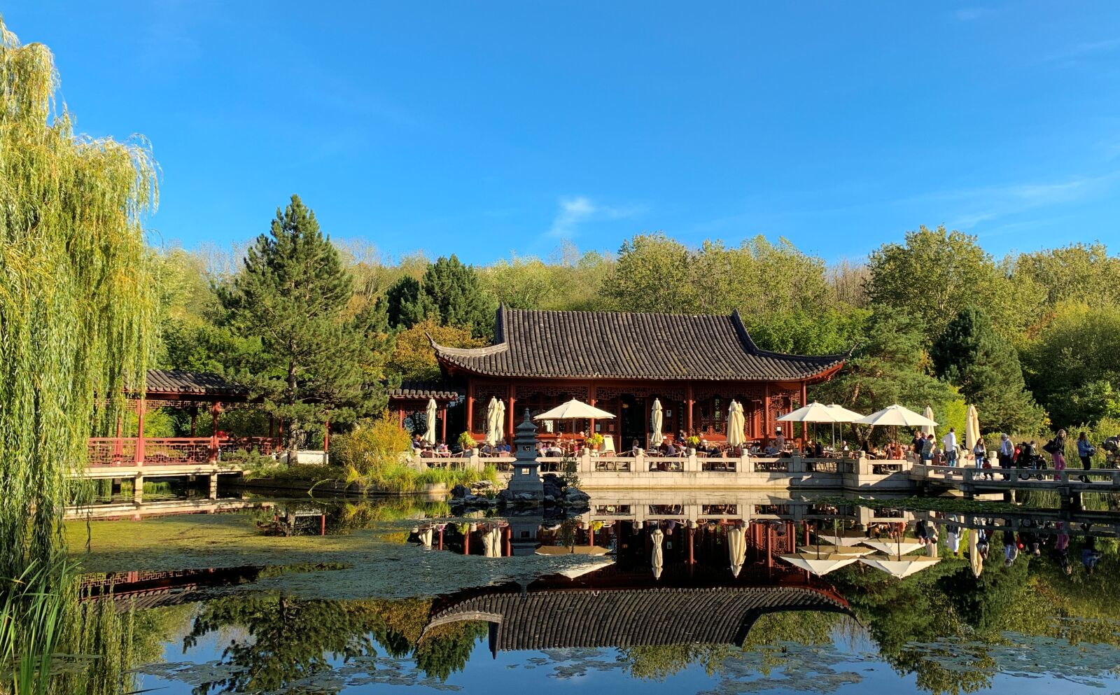 Apple iPhone XS sample photo. Gardens of the world photography