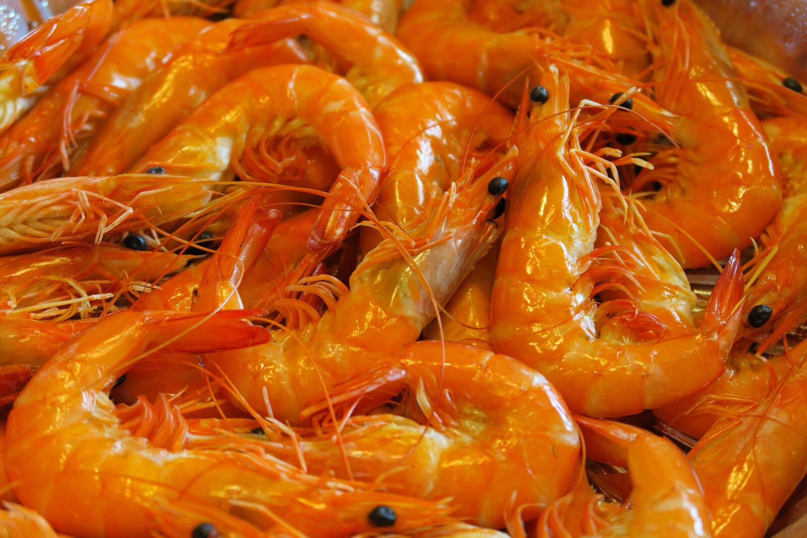 Canon PowerShot G7 X sample photo. Food, foodie, seafood photography