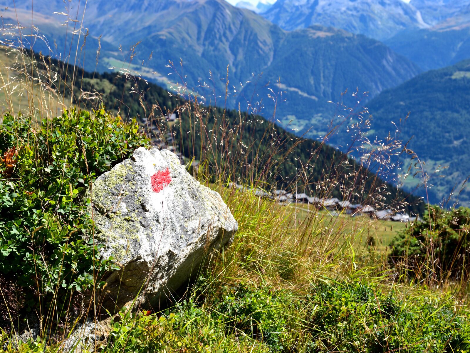 Nikon D5500 sample photo. Trail, landscape, mountains photography