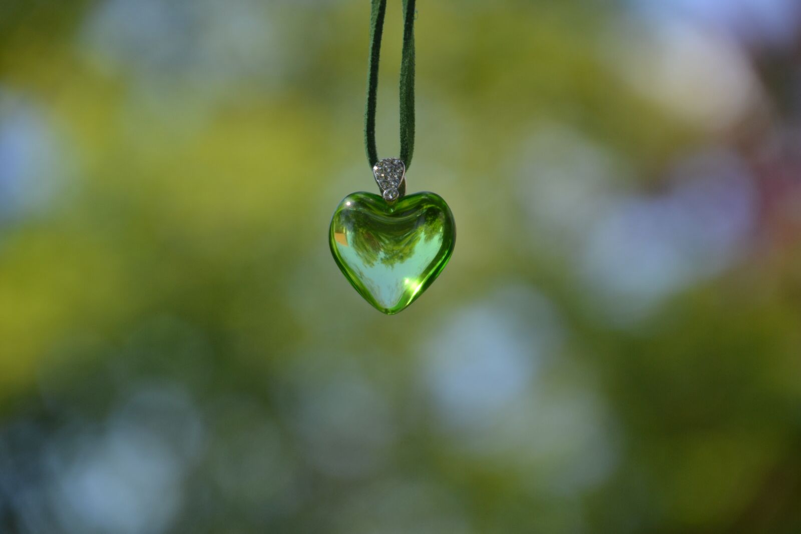 Nikon D3100 sample photo. Heart, love, valentine's day photography