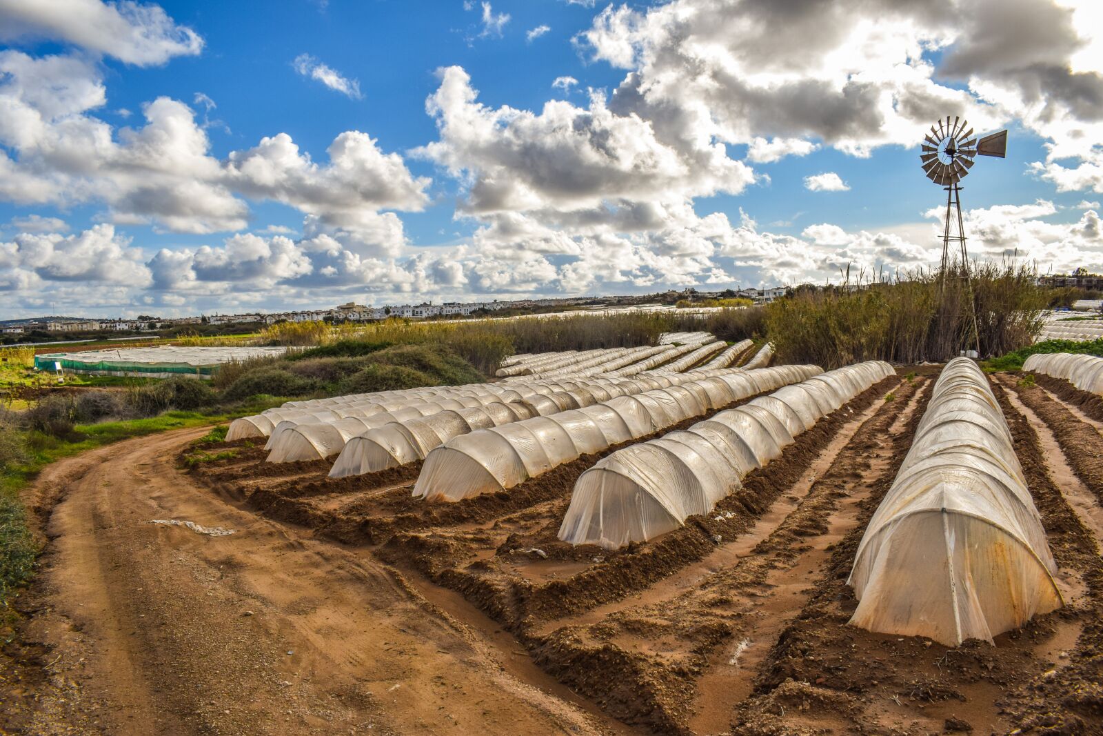Nikon D3300 sample photo. Agriculture, green house, farm photography