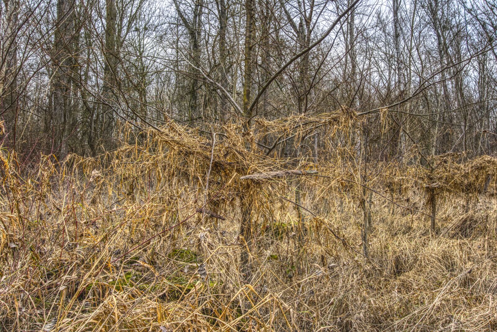 Sony E 16-50mm F3.5-5.6 PZ OSS sample photo. Devastation, high water, over photography
