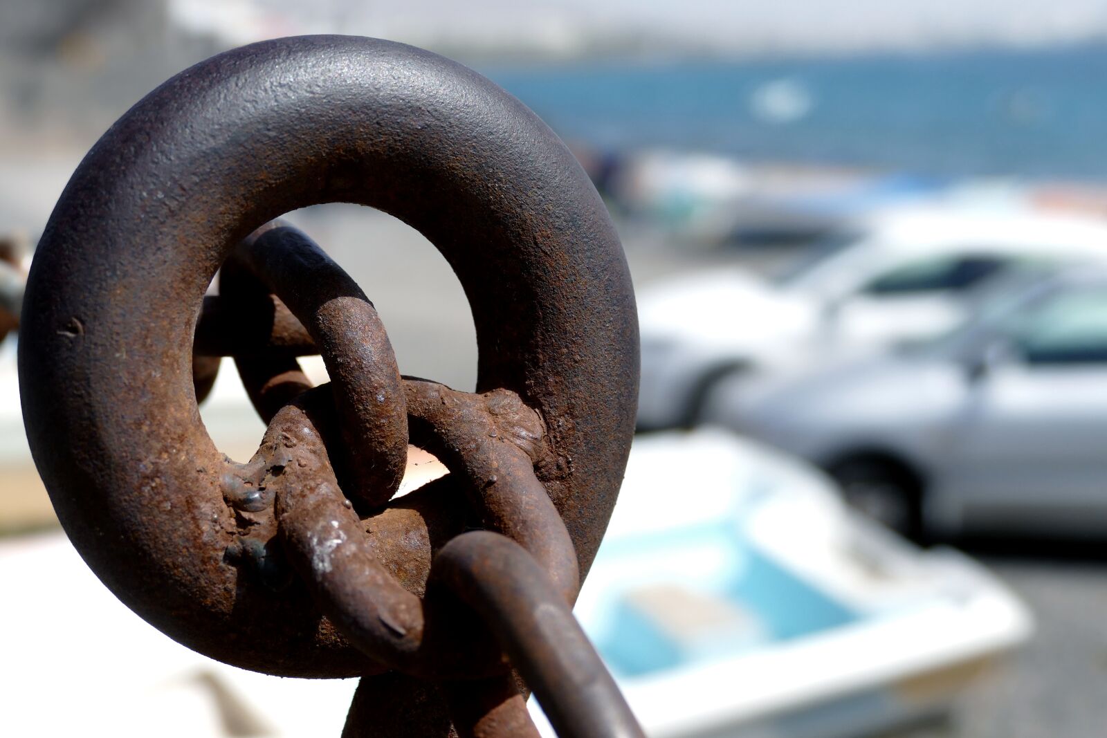 Panasonic Lumix DMC-FZ1000 sample photo. Chain, hawser, ear photography