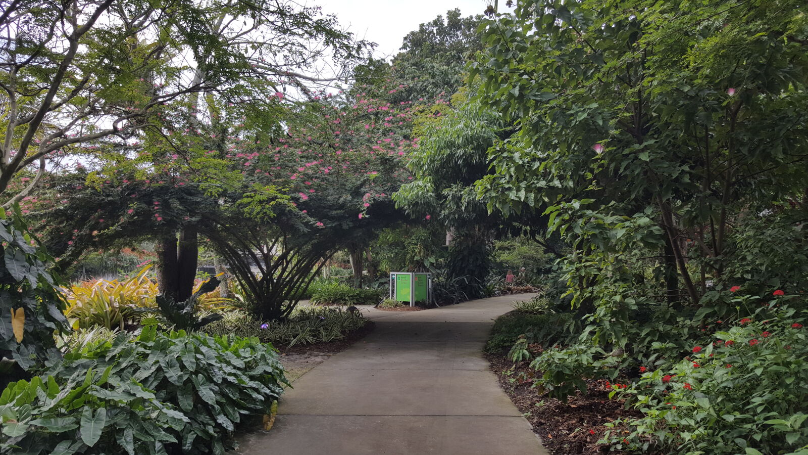 Samsung GALAXY S6 edge sample photo. Botanical, gardens, naples photography