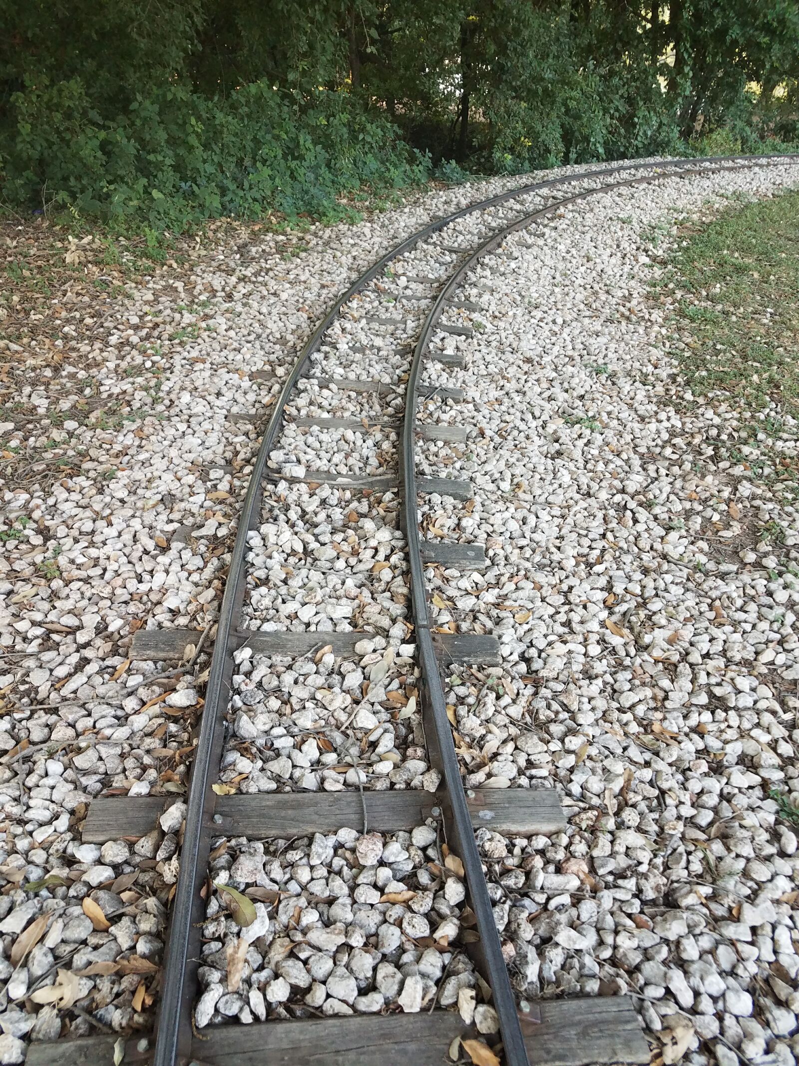 Samsung Galaxy S7 Edge sample photo. Tracks, train, tracks photography