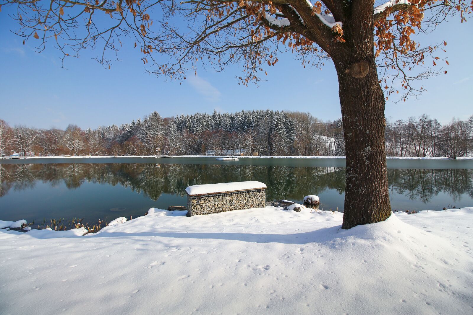 Canon EOS 60D sample photo. Snow, winter, cold photography