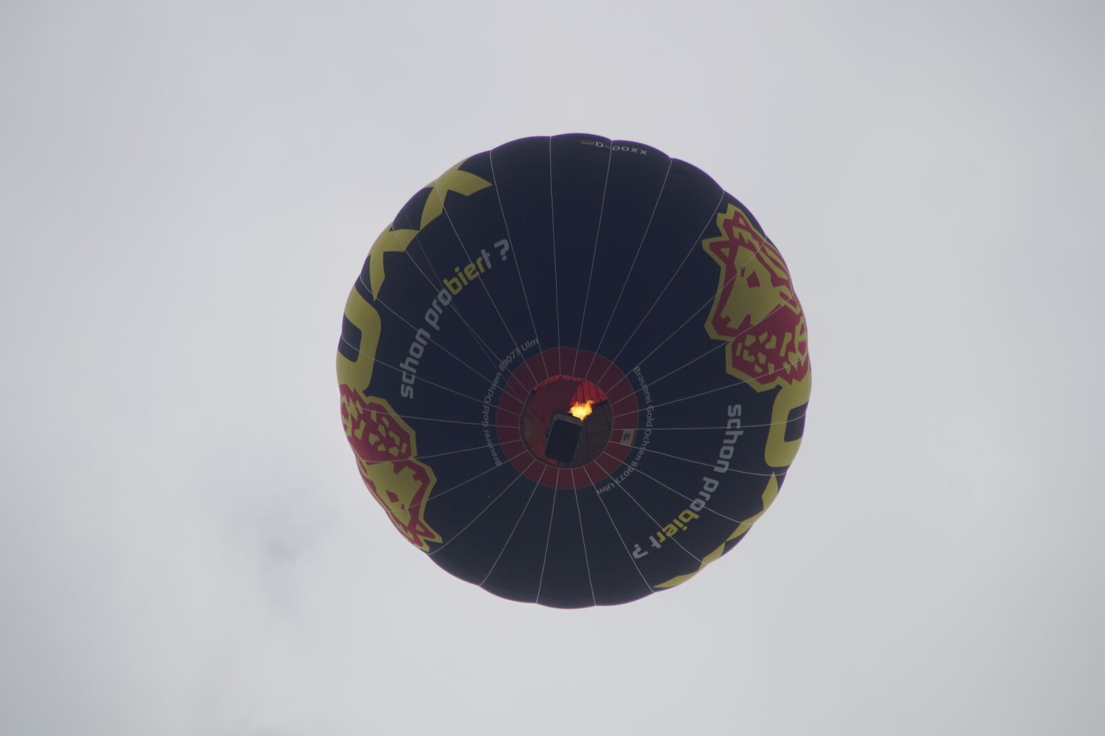 Sony SLT-A58 sample photo. Hot air balloon, captive photography