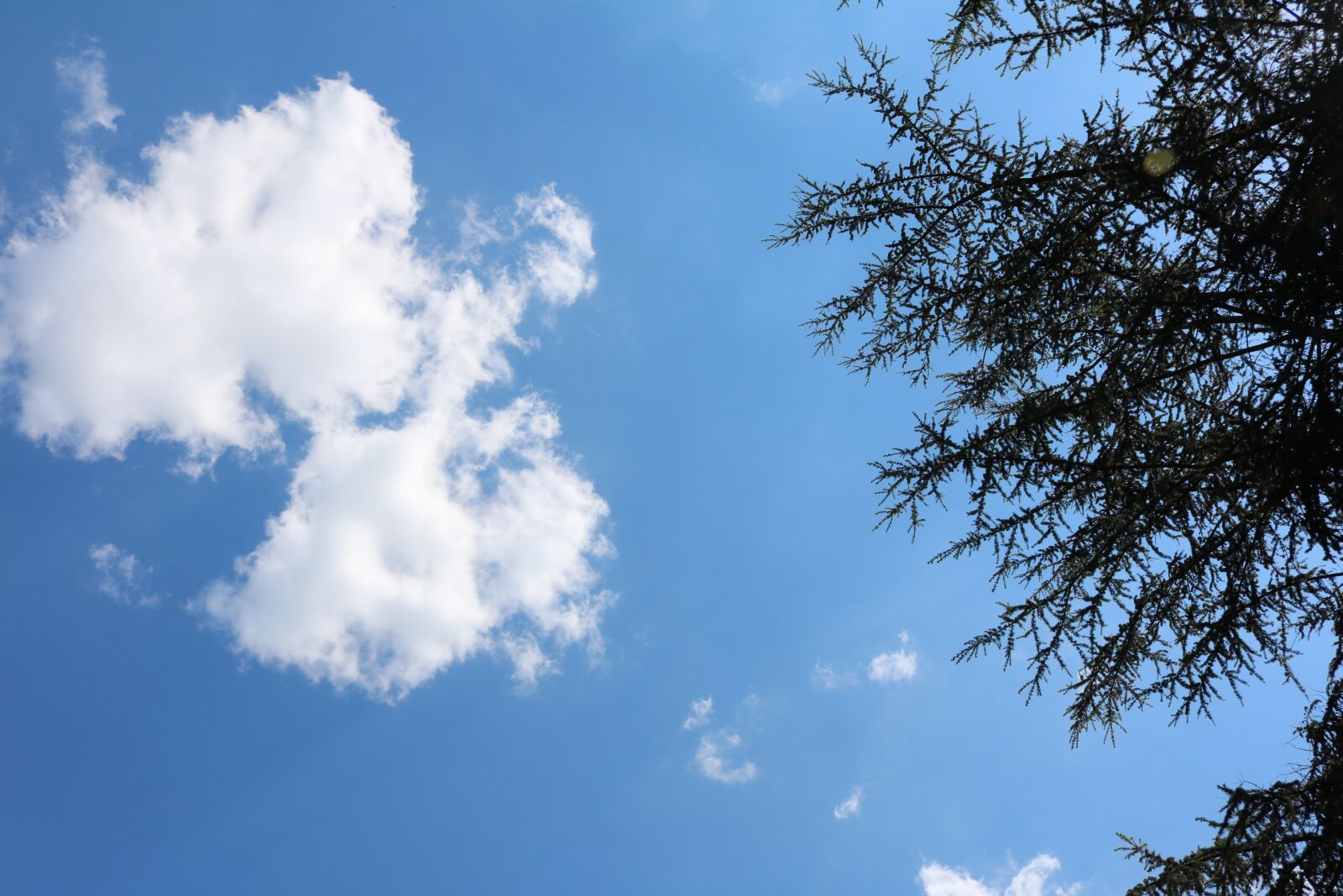 Canon EOS 750D (EOS Rebel T6i / EOS Kiss X8i) sample photo. Sky, blue, clouds photography