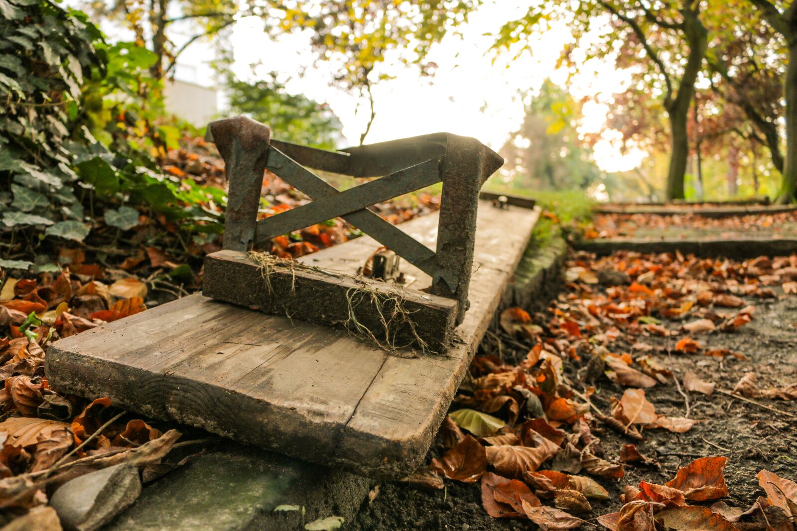 Canon EOS 70D sample photo. Park bench, autumn, melancholic photography