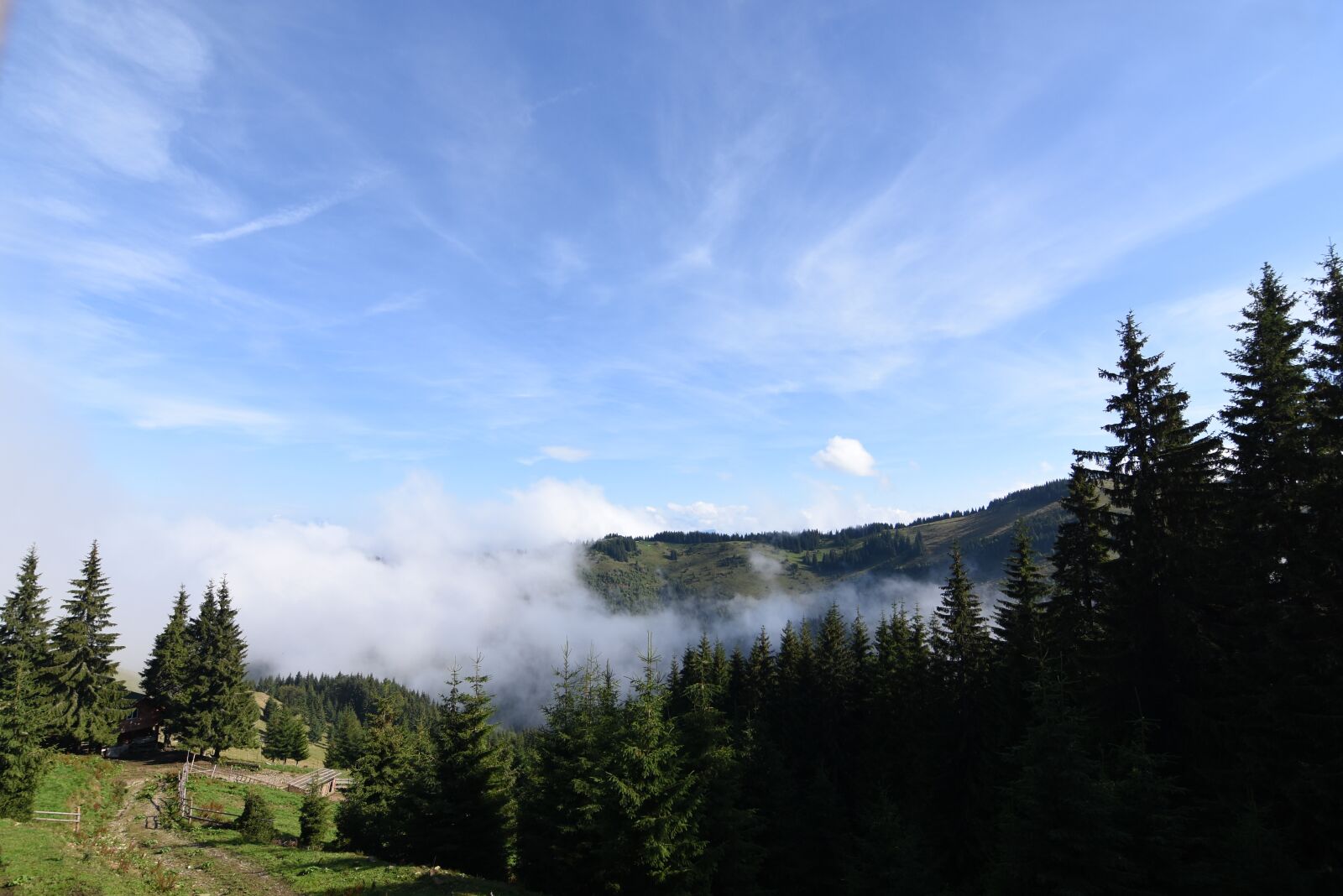 Nikon D7200 sample photo. Pure, nature, romania photography