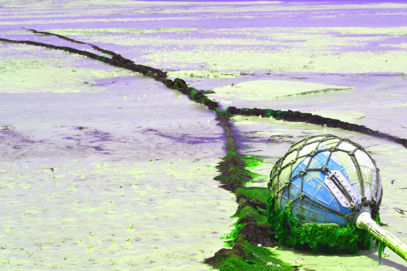 Nikon D3100 sample photo. Beach, mombasa, east africa photography