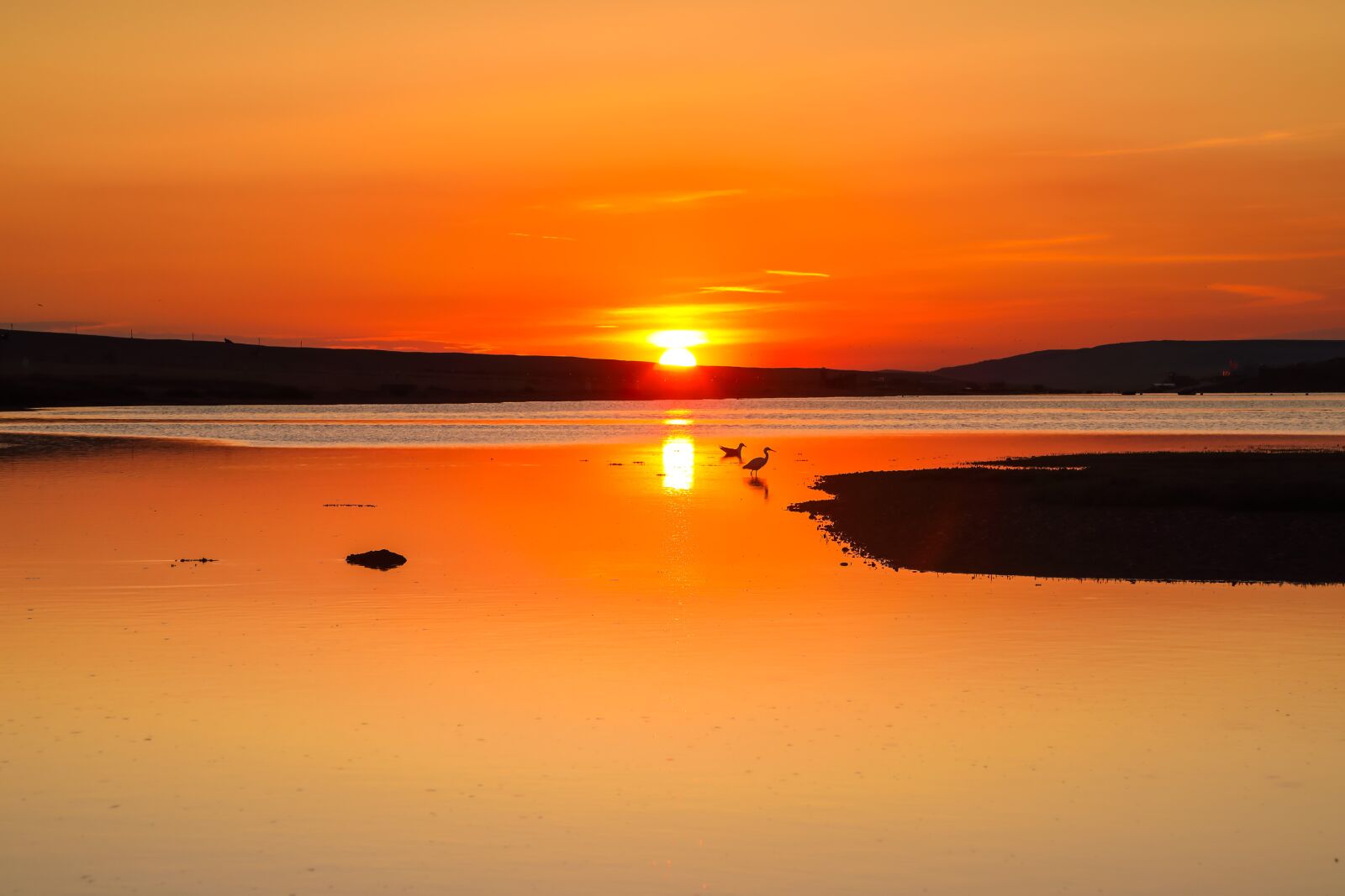 Canon EOS 5D Mark IV sample photo. Sunset, lagoon, birds photography