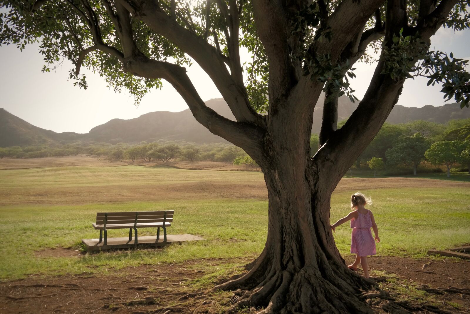 Samsung NX300 sample photo. Child, girl, nature photography