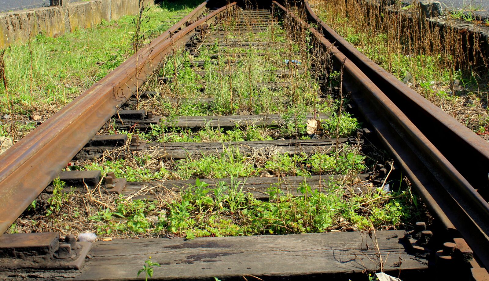 Canon EOS 1200D (EOS Rebel T5 / EOS Kiss X70 / EOS Hi) sample photo. Tracks, railway, railroad tracks photography