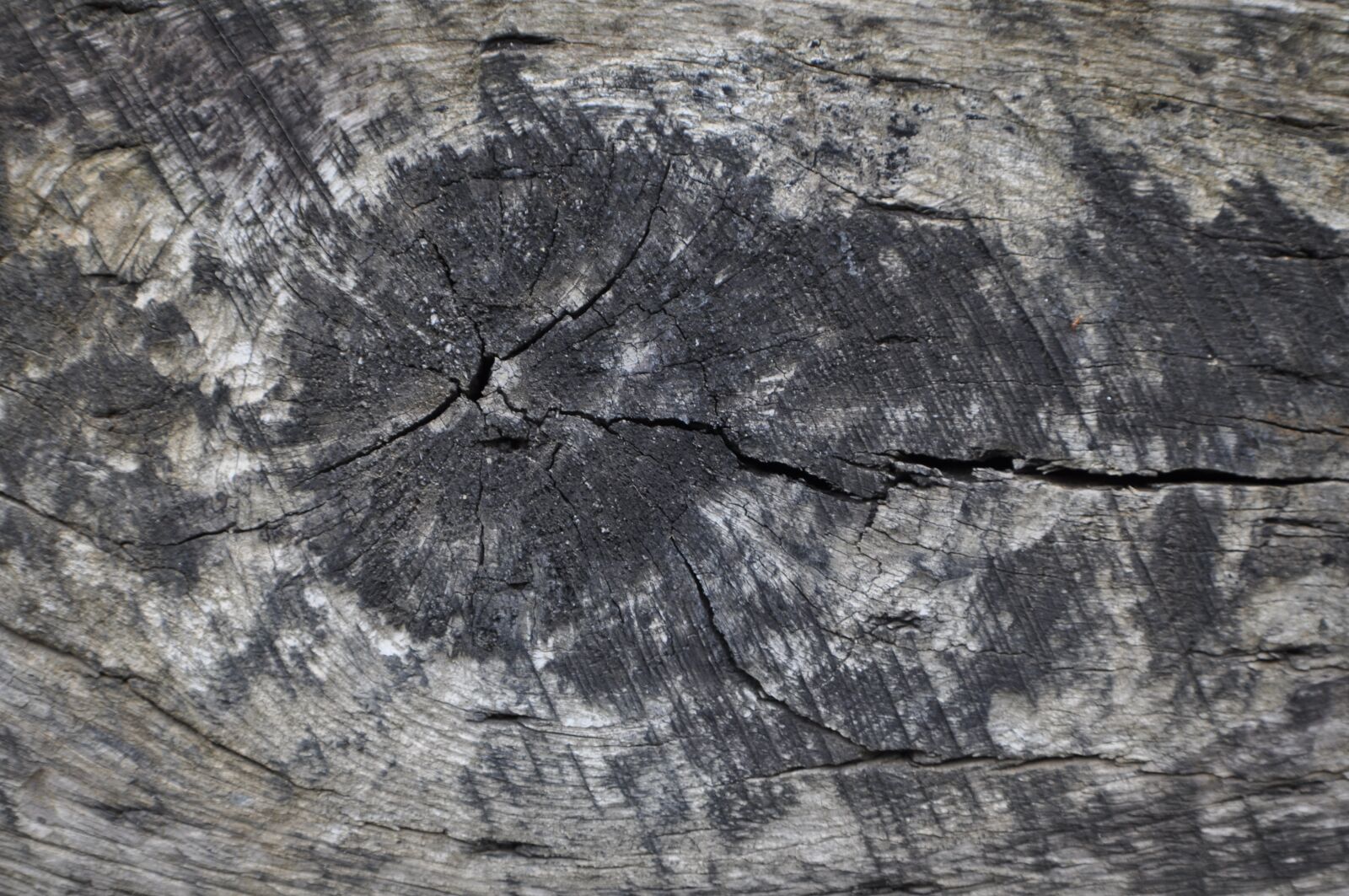 Nikon D5000 sample photo. Natural wood, wood, grunge photography