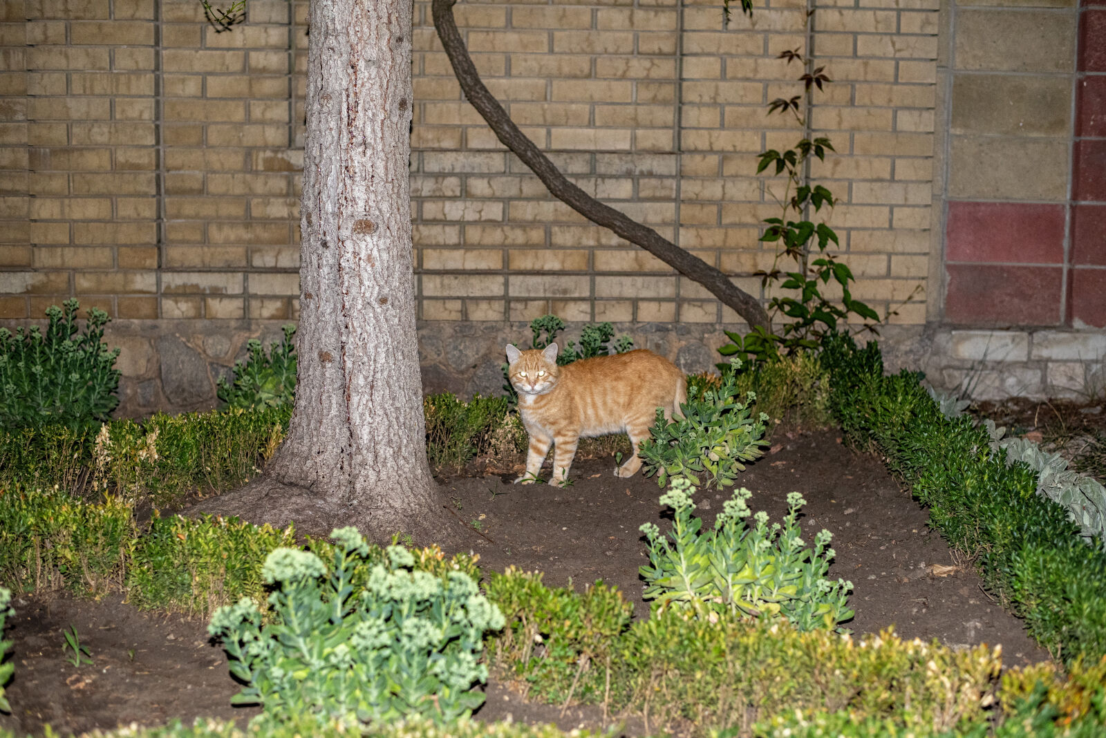 Nikon D750 sample photo