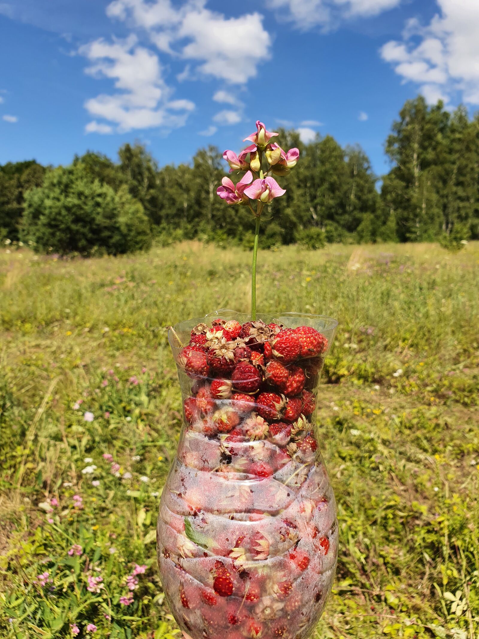 Samsung Galaxy S10 sample photo. Berry, strawberry, juicy photography