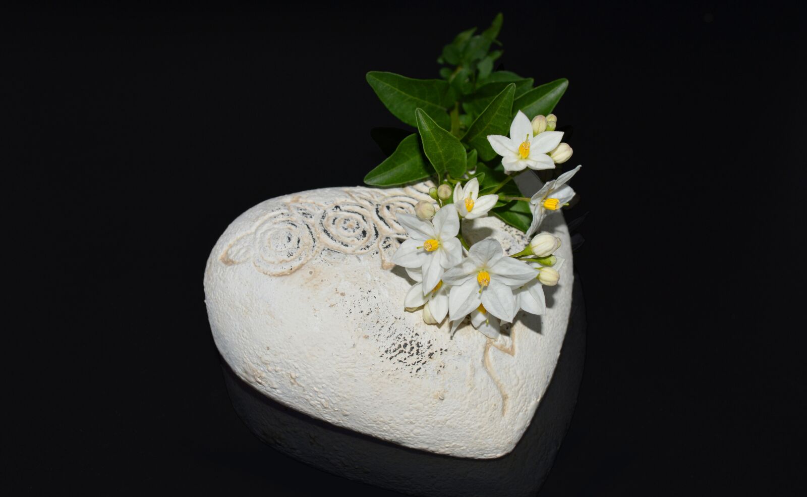 Nikon D3200 sample photo. Heart, jasmin, flower photography