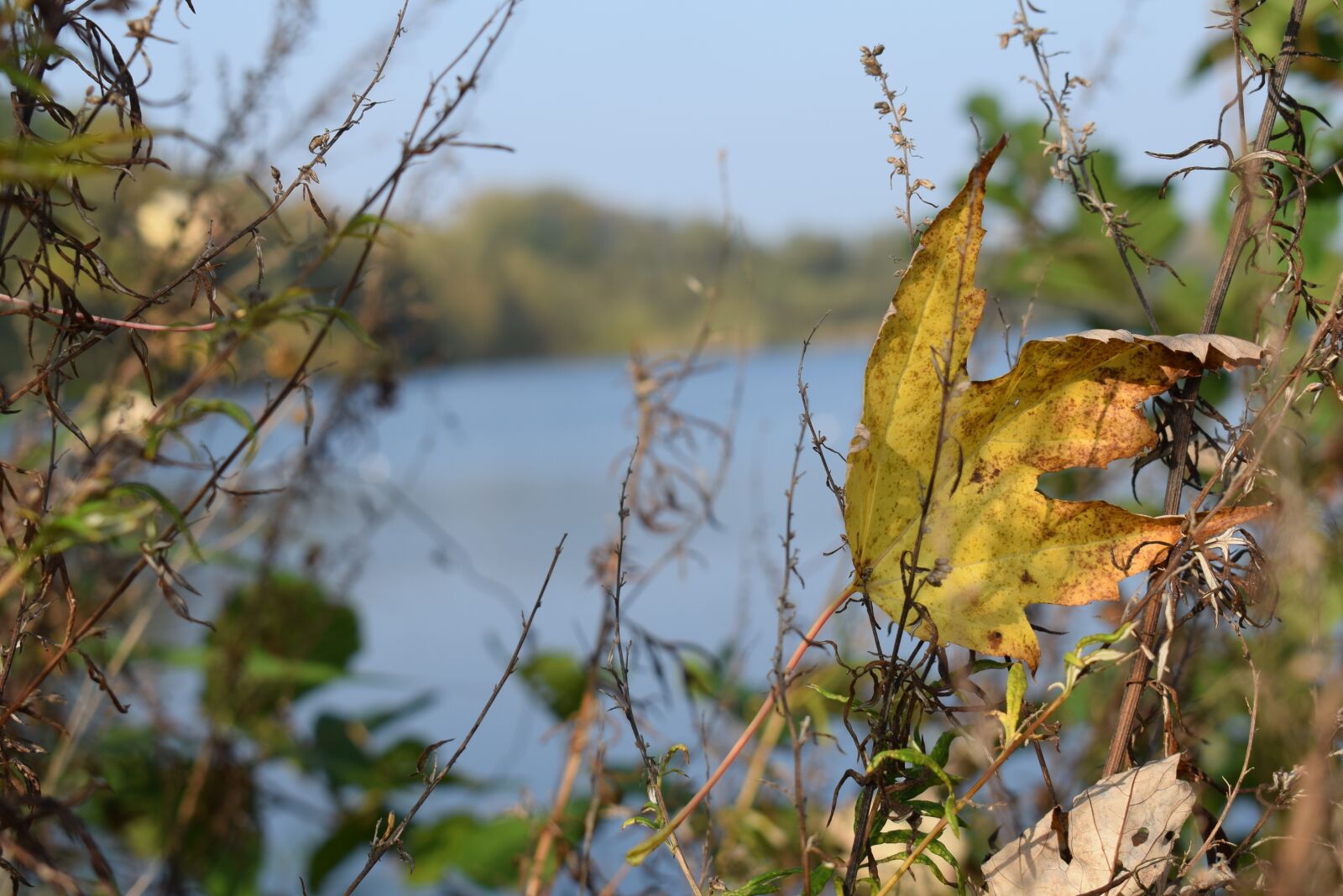 Nikon D5300 sample photo. Lake, nature, water photography
