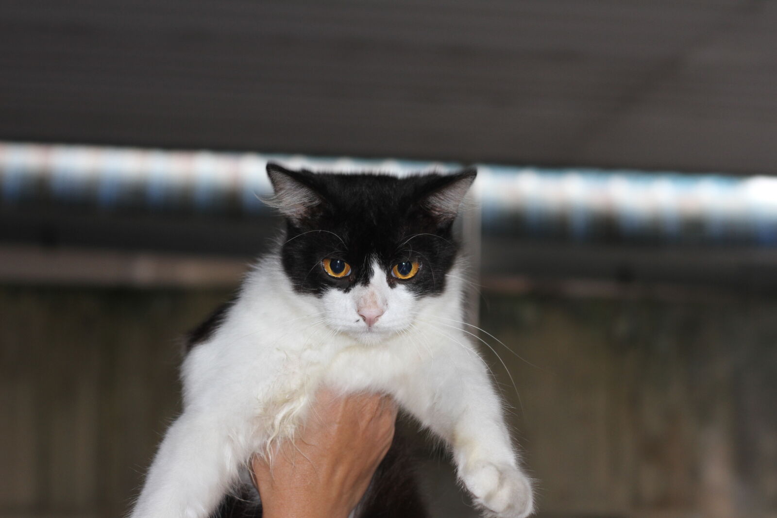 Canon EOS 7D sample photo