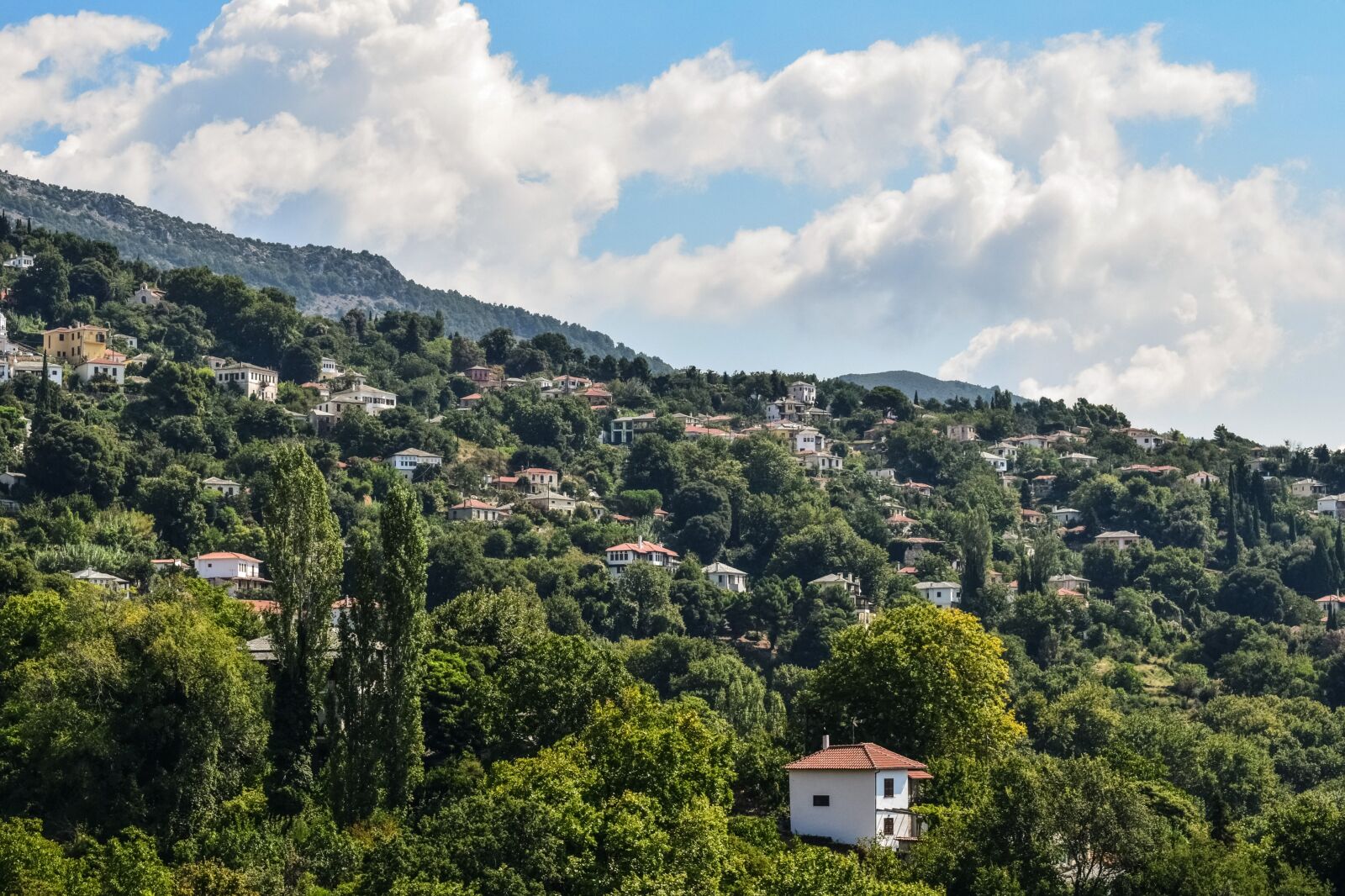 Nikon D3300 sample photo. Greece, pelio, milies photography