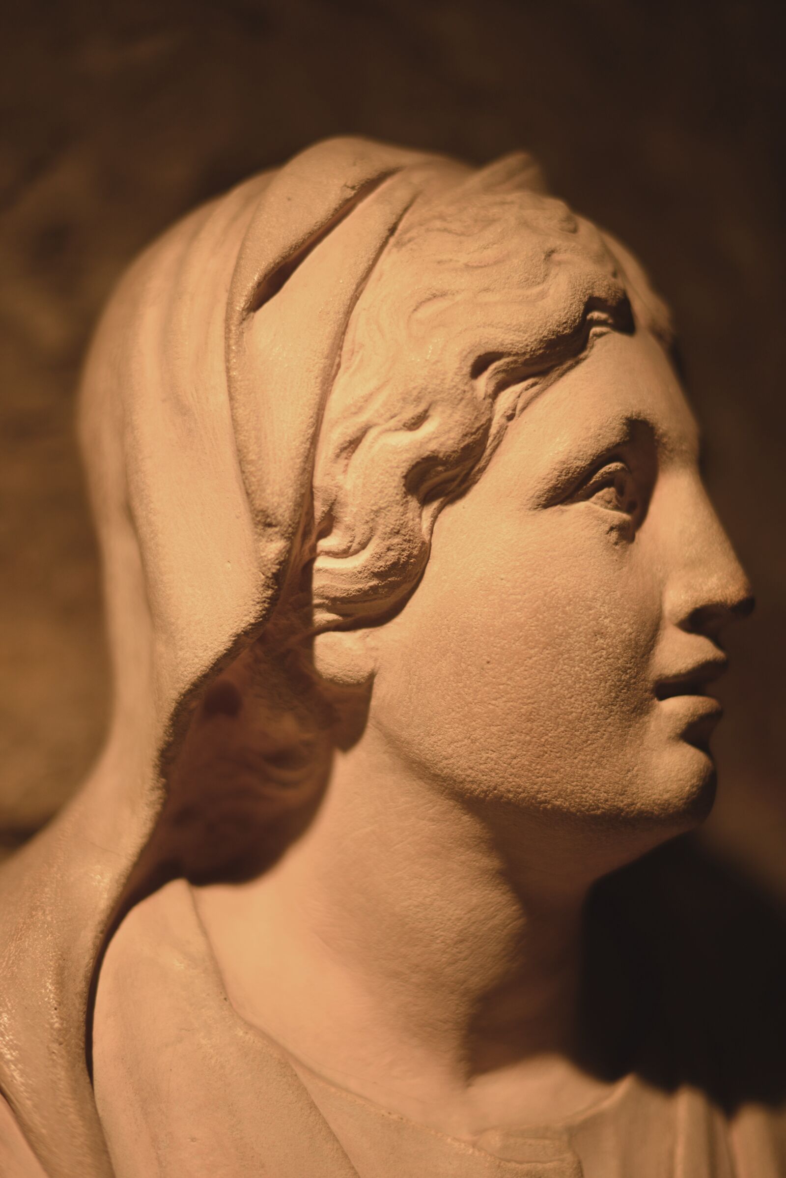 Nikon D800 sample photo. Florence, museum, statue photography