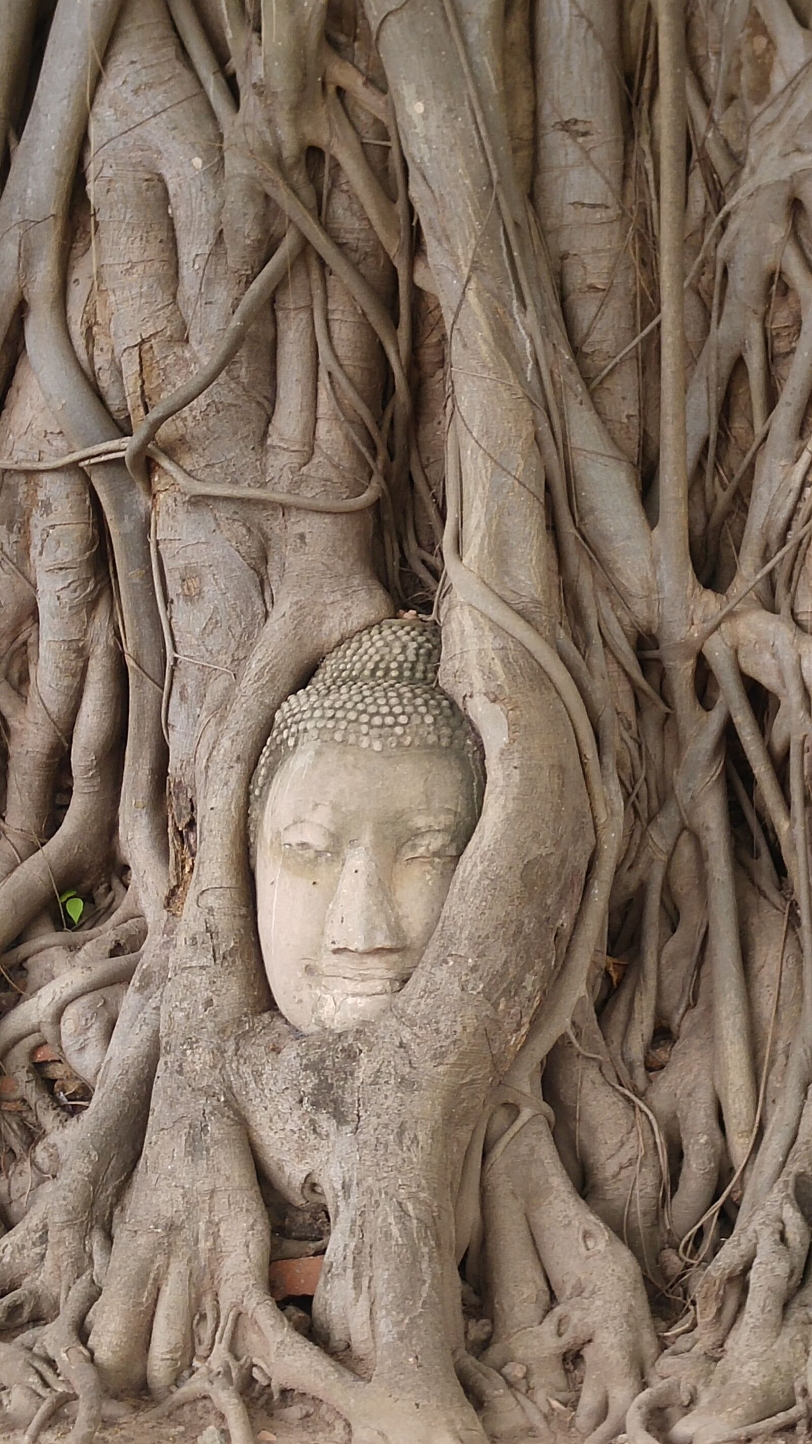 LG G4 sample photo. Thailand, old capital city photography