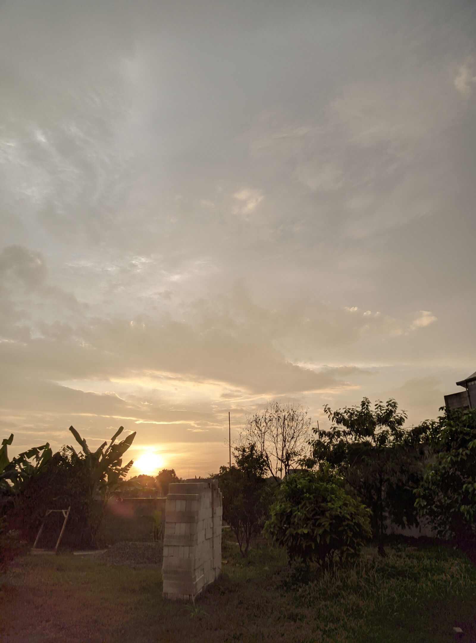 OPPO CPH2239 sample photo