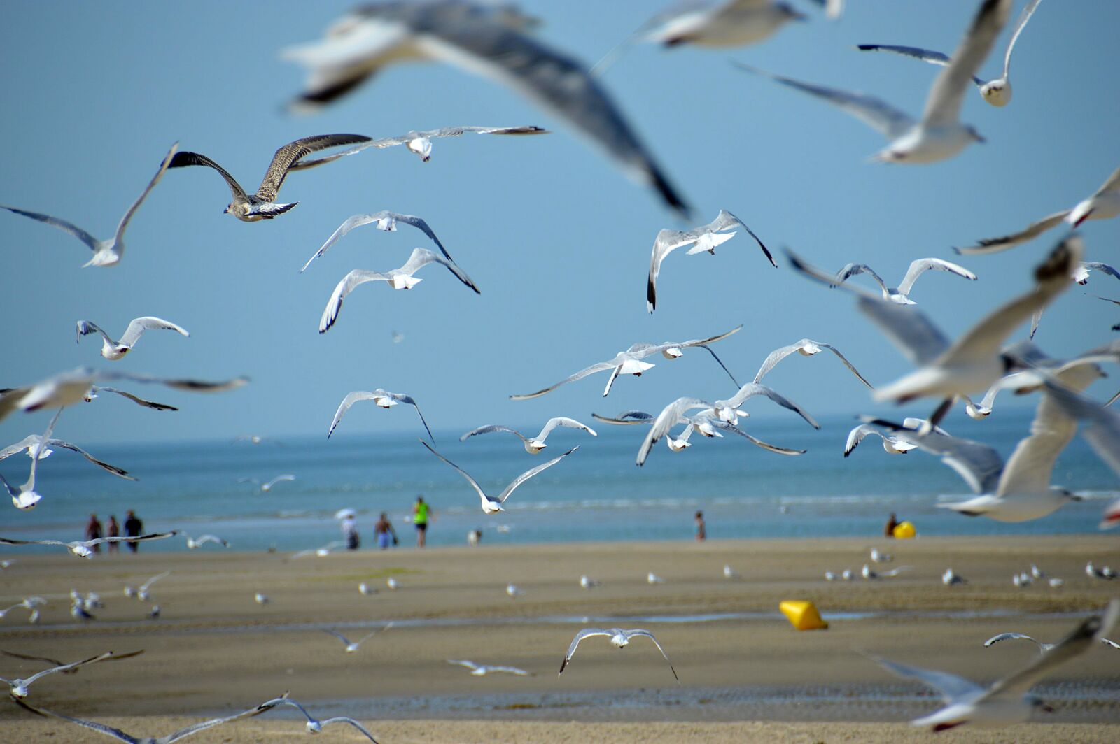 Nikon D3200 sample photo. Sea, beach, stella beach photography