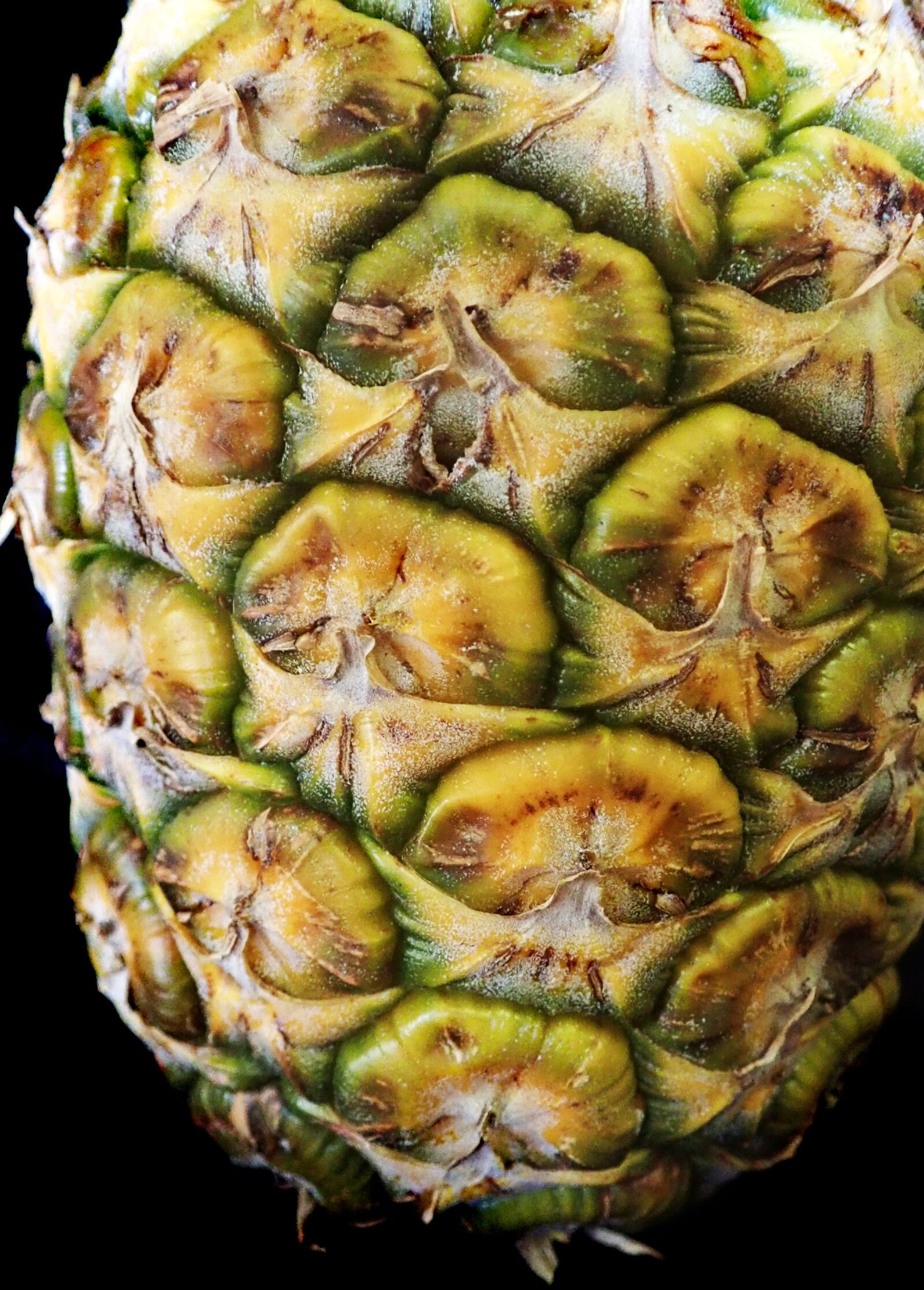 Olympus TG-5 sample photo. Pineapple, fruit, tropical photography