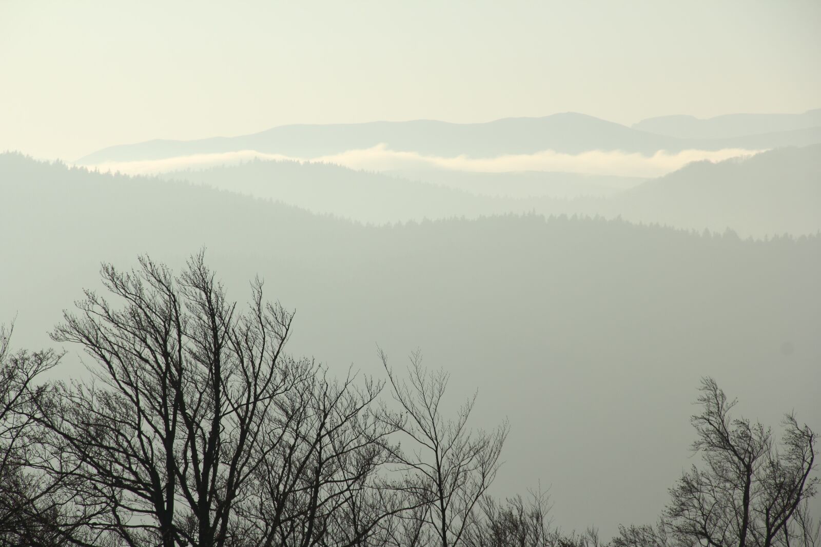 Canon EOS 550D (EOS Rebel T2i / EOS Kiss X4) sample photo. Nature, mountains, landscape photography