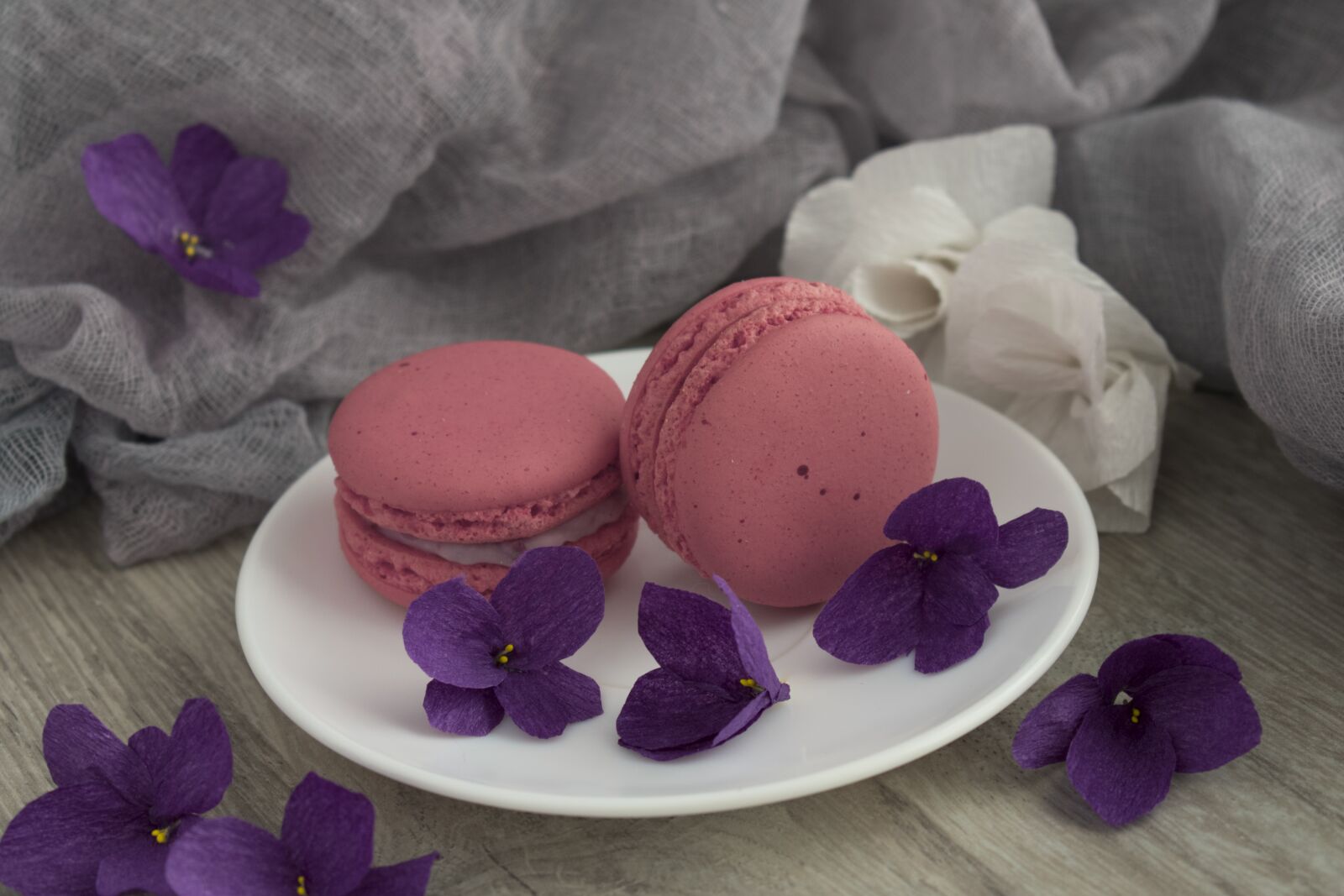 Nikon D3400 sample photo. Macaroons, macro, cookies photography