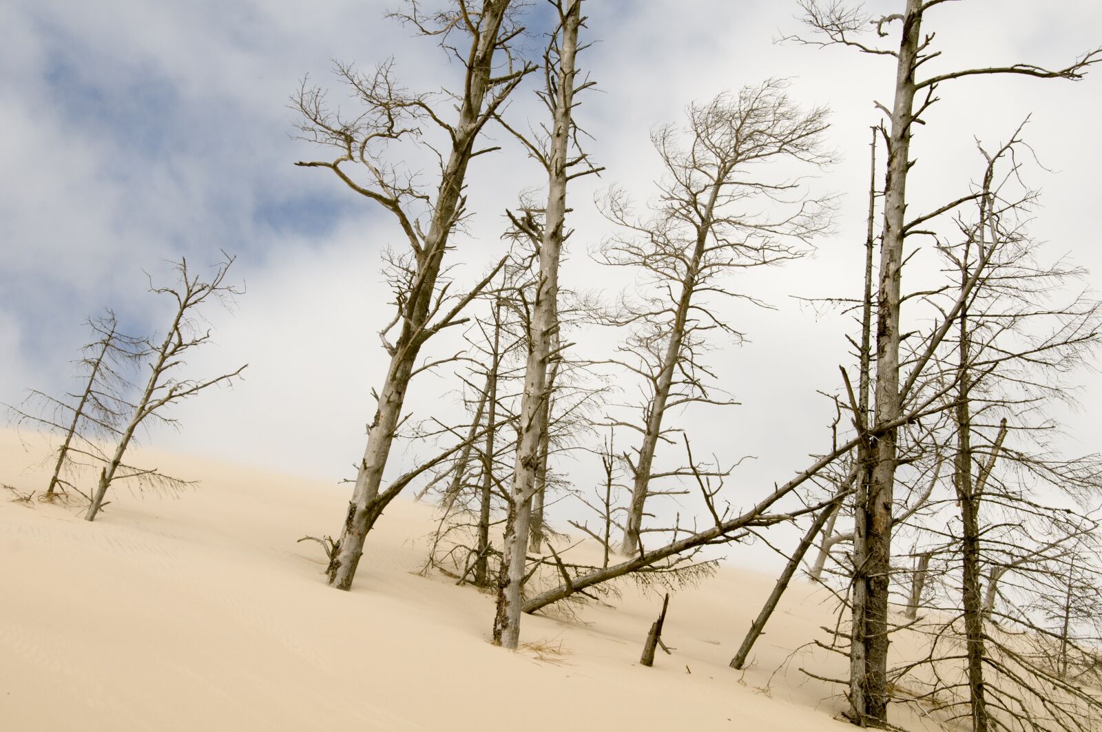 Nikon D300 sample photo. The sand dunes, eba photography