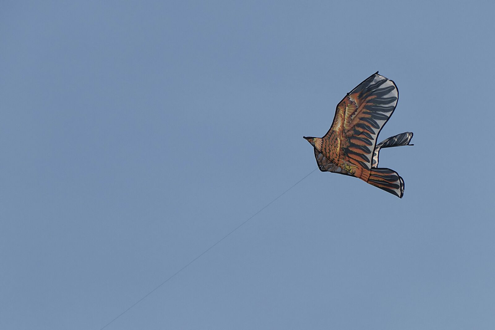 Panasonic Lumix DMC-FZ1000 sample photo. Dove, sky, birds photography