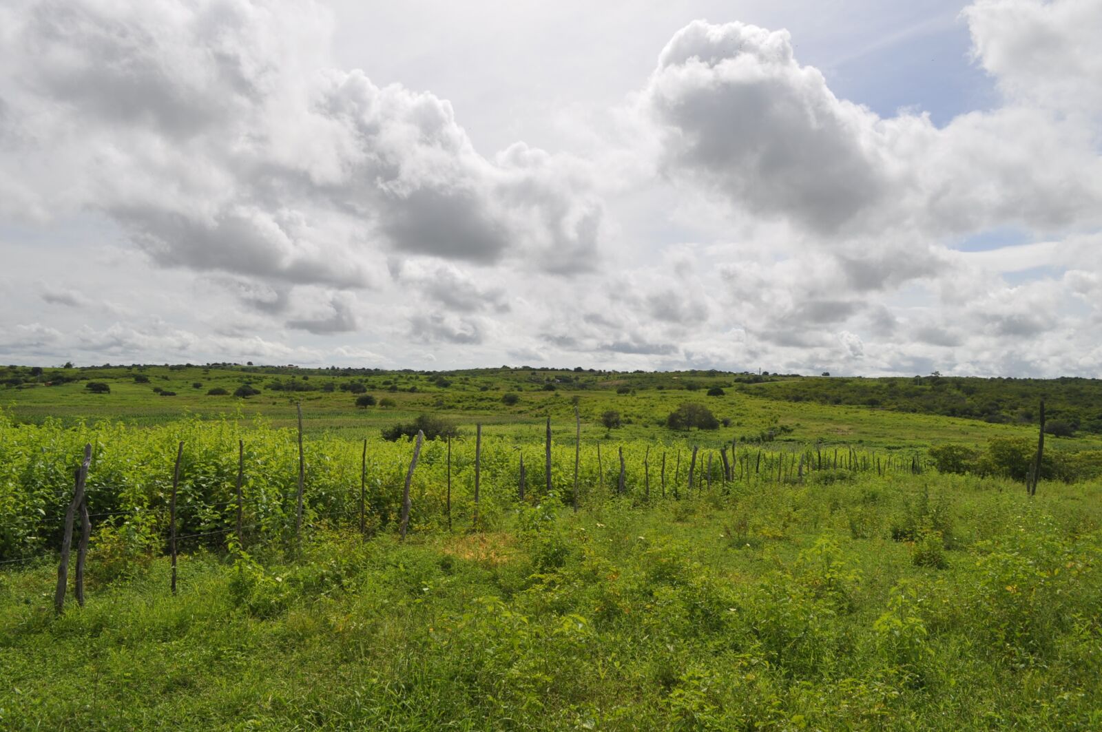 Nikon D5000 sample photo. Sky, cloud, landscape photography