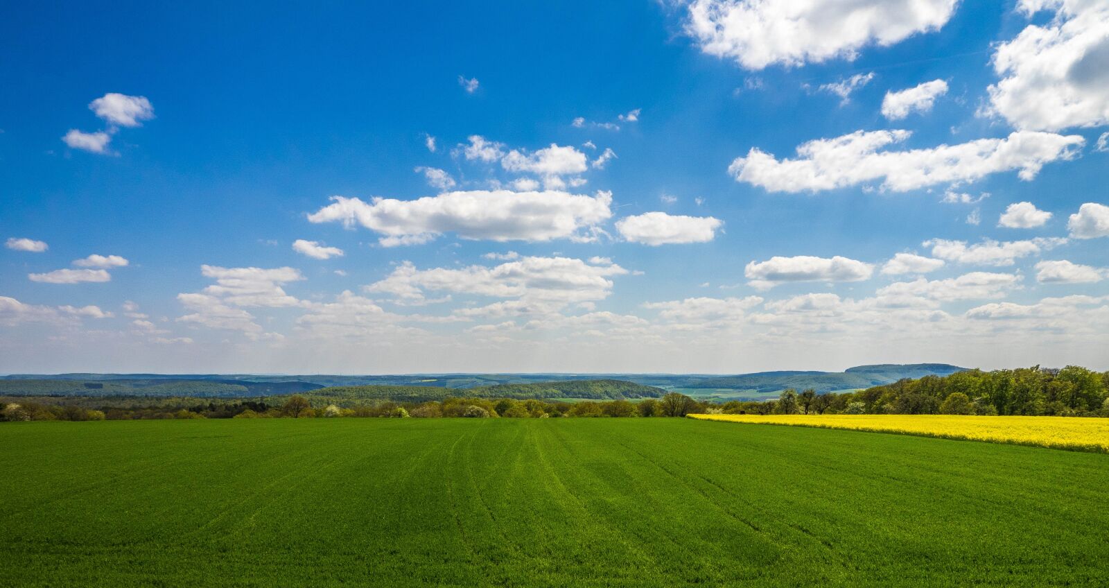 Olympus OM-D E-M1 + OLYMPUS M.12-50mm F3.5-6.3 sample photo. Landscape, spring, field photography