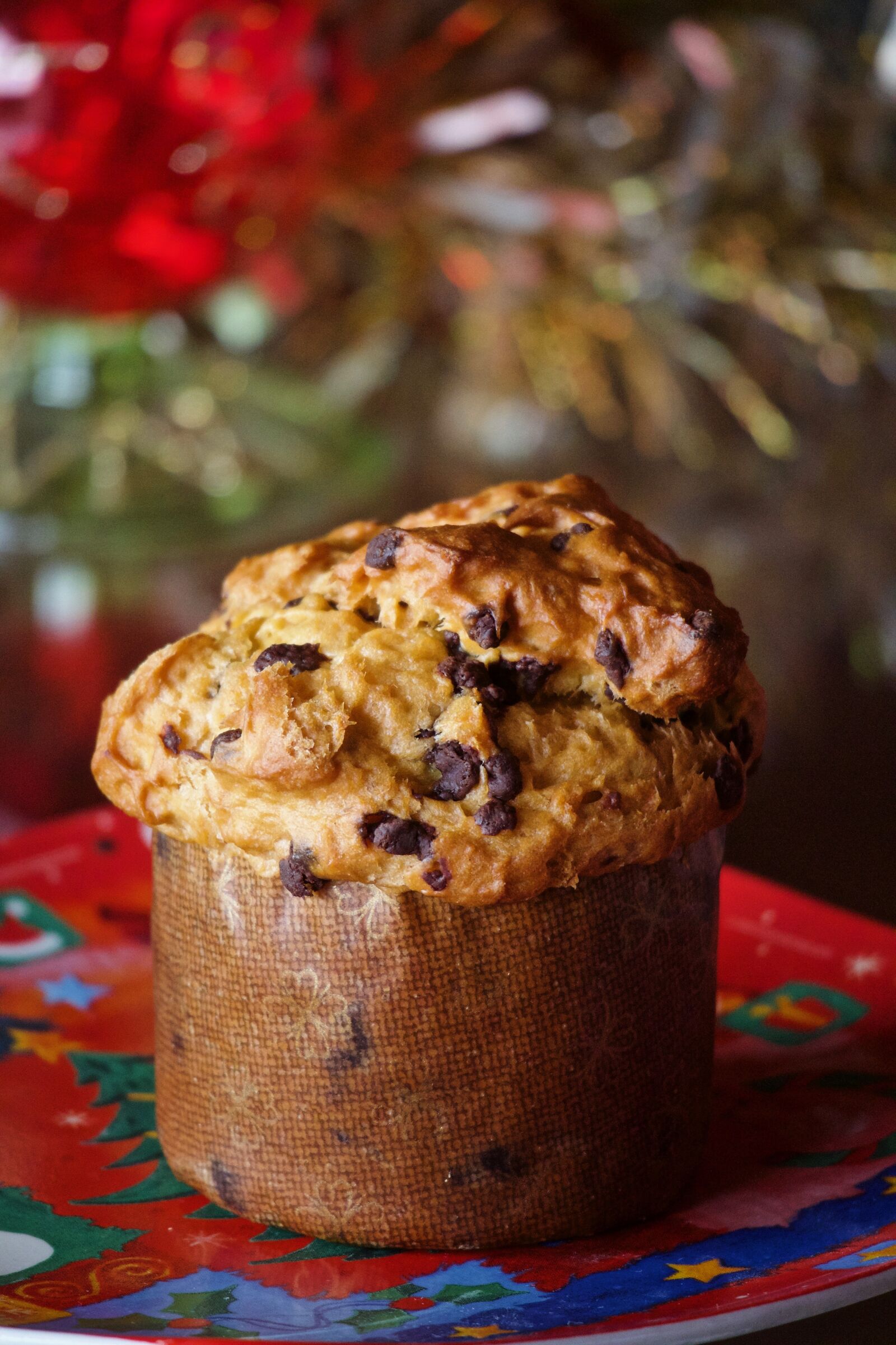 Canon EOS M sample photo. Panettone, sweet, christmas photography