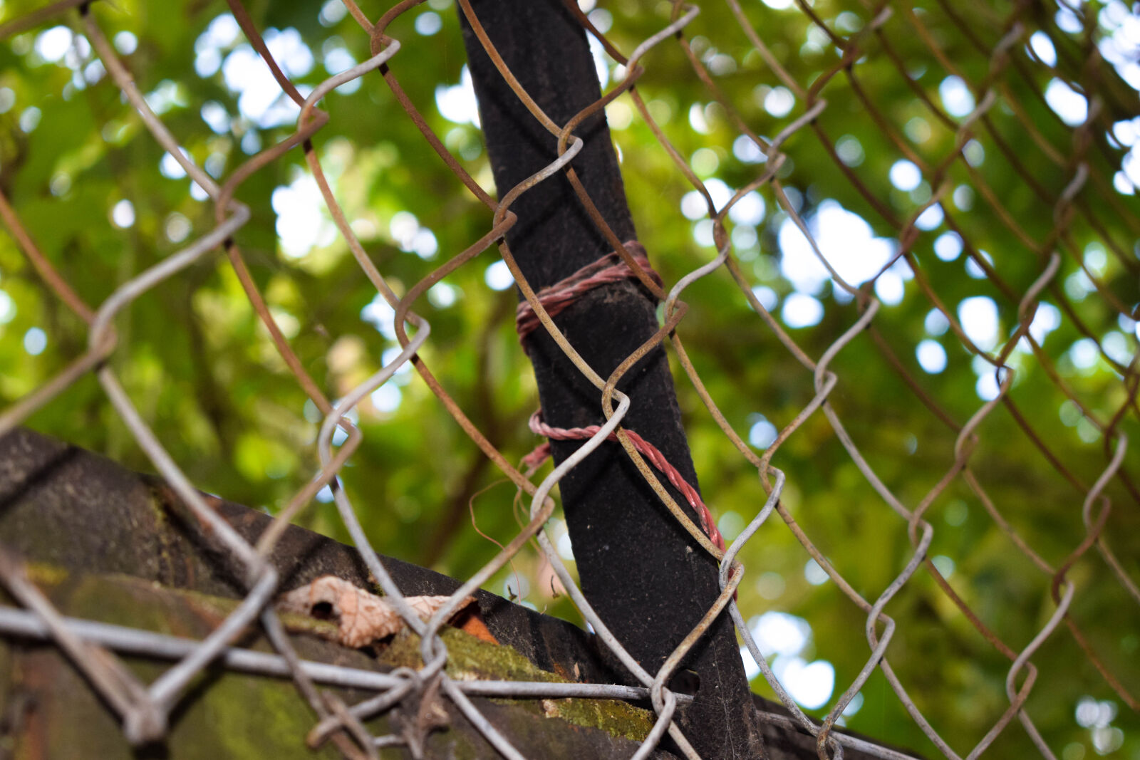 Nikon D3300 sample photo