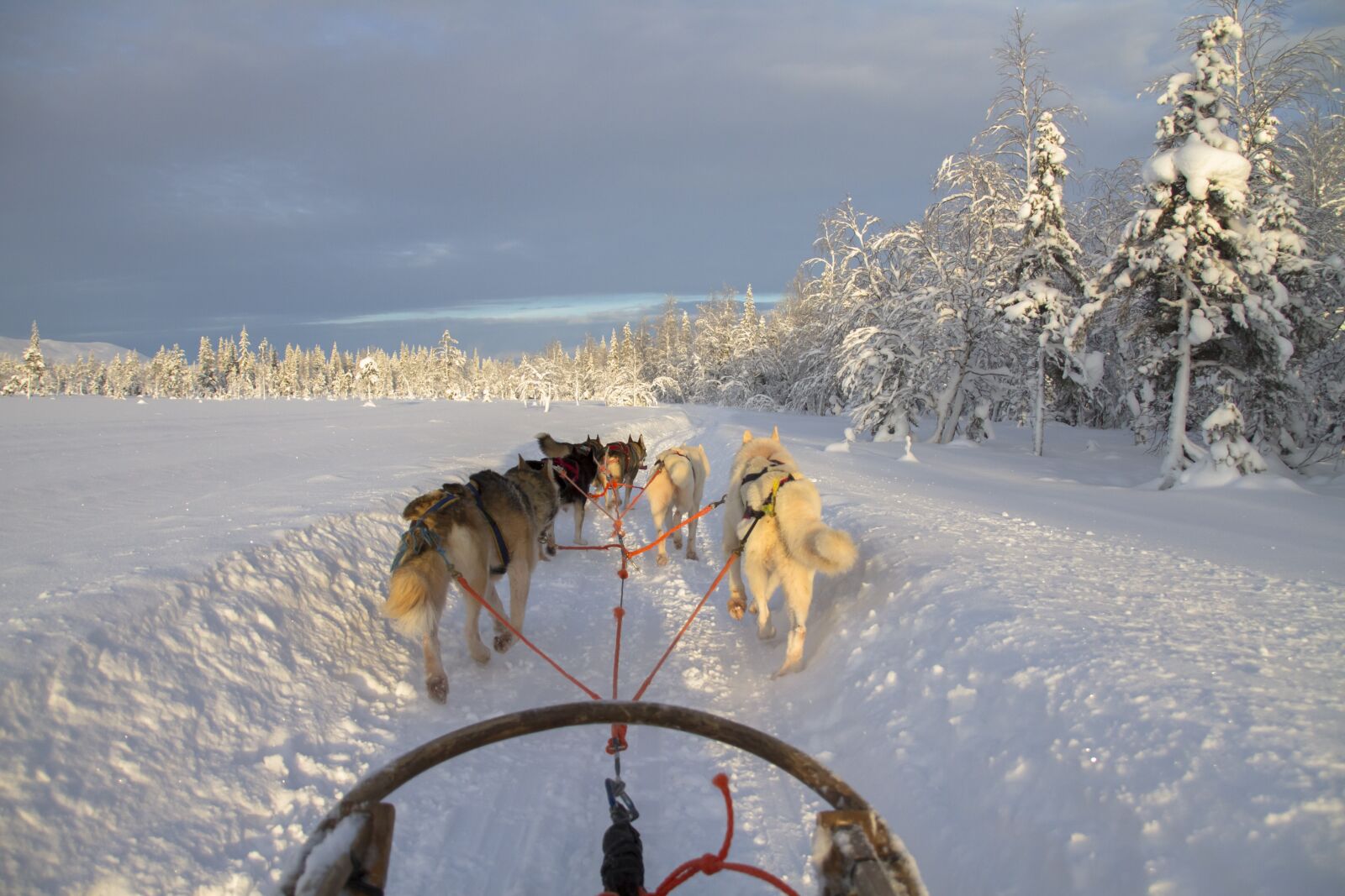 Canon EOS 7D sample photo. Finland, lapland, wintry photography